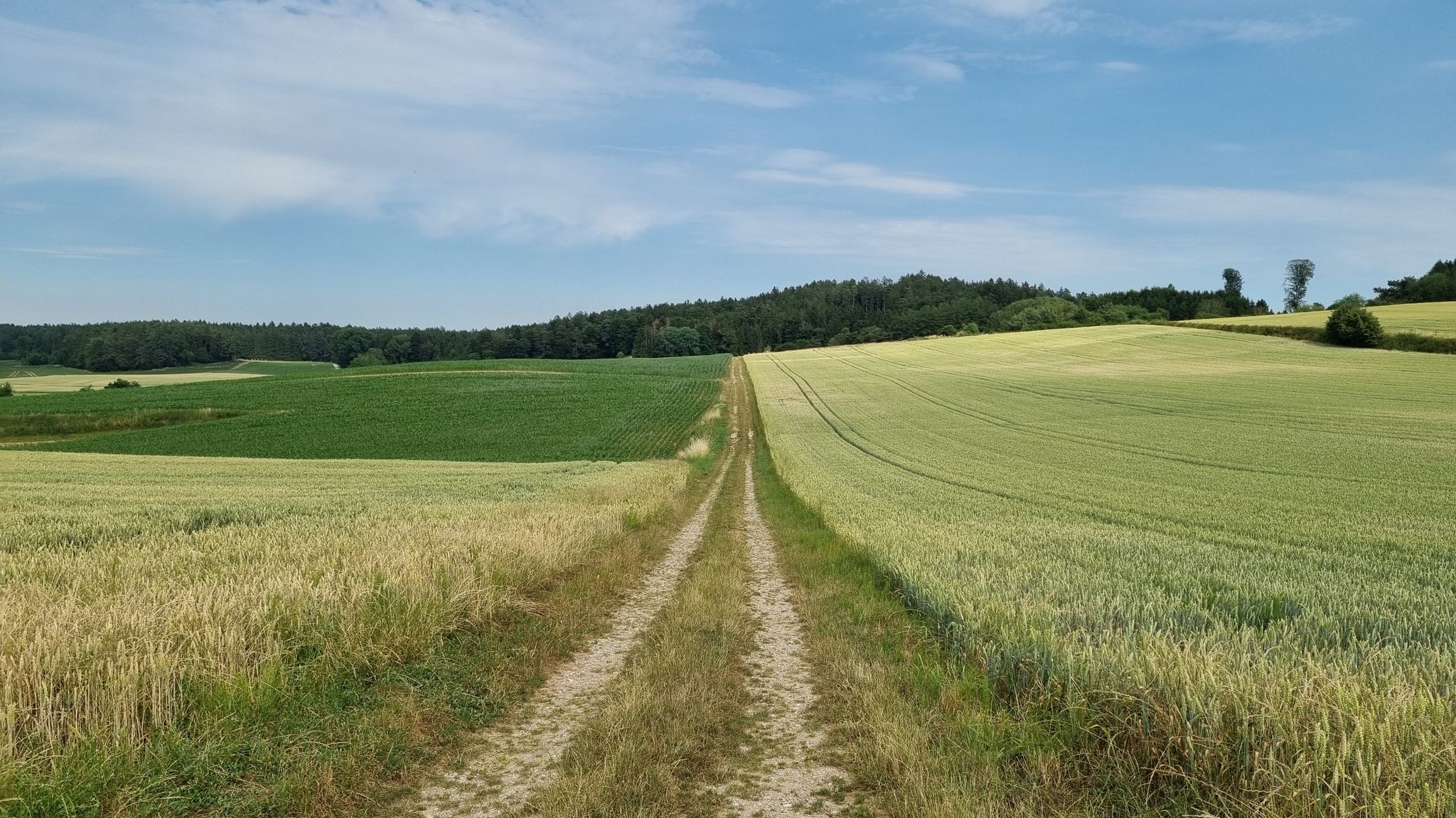 würde ja normalerweise solche Wege nie reinfahren...