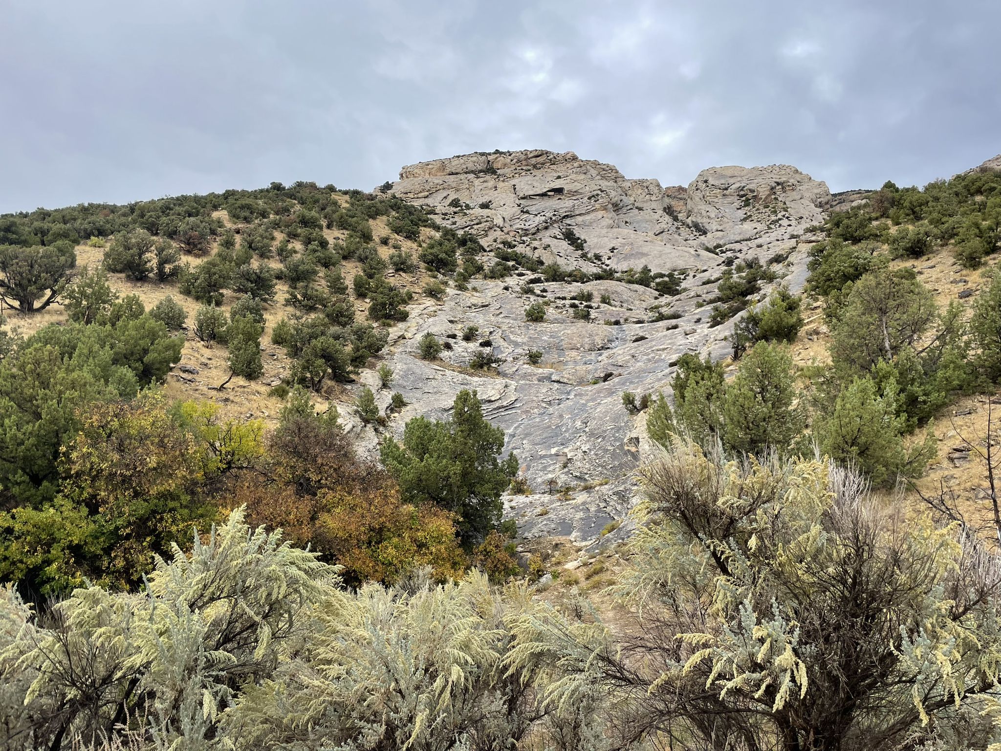 Rocky hillside with sparse green trees and shrubs under an overcast sky. - Box Canyon Trail and Hog Canyon Trail – Dinosaur National Monument
