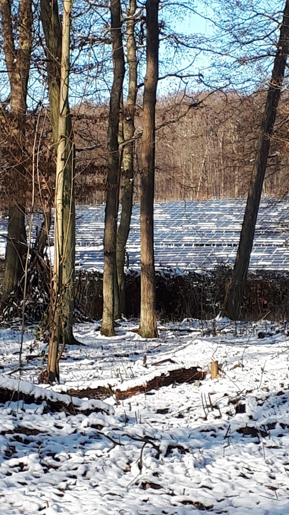 Solarpark Gelnhausen