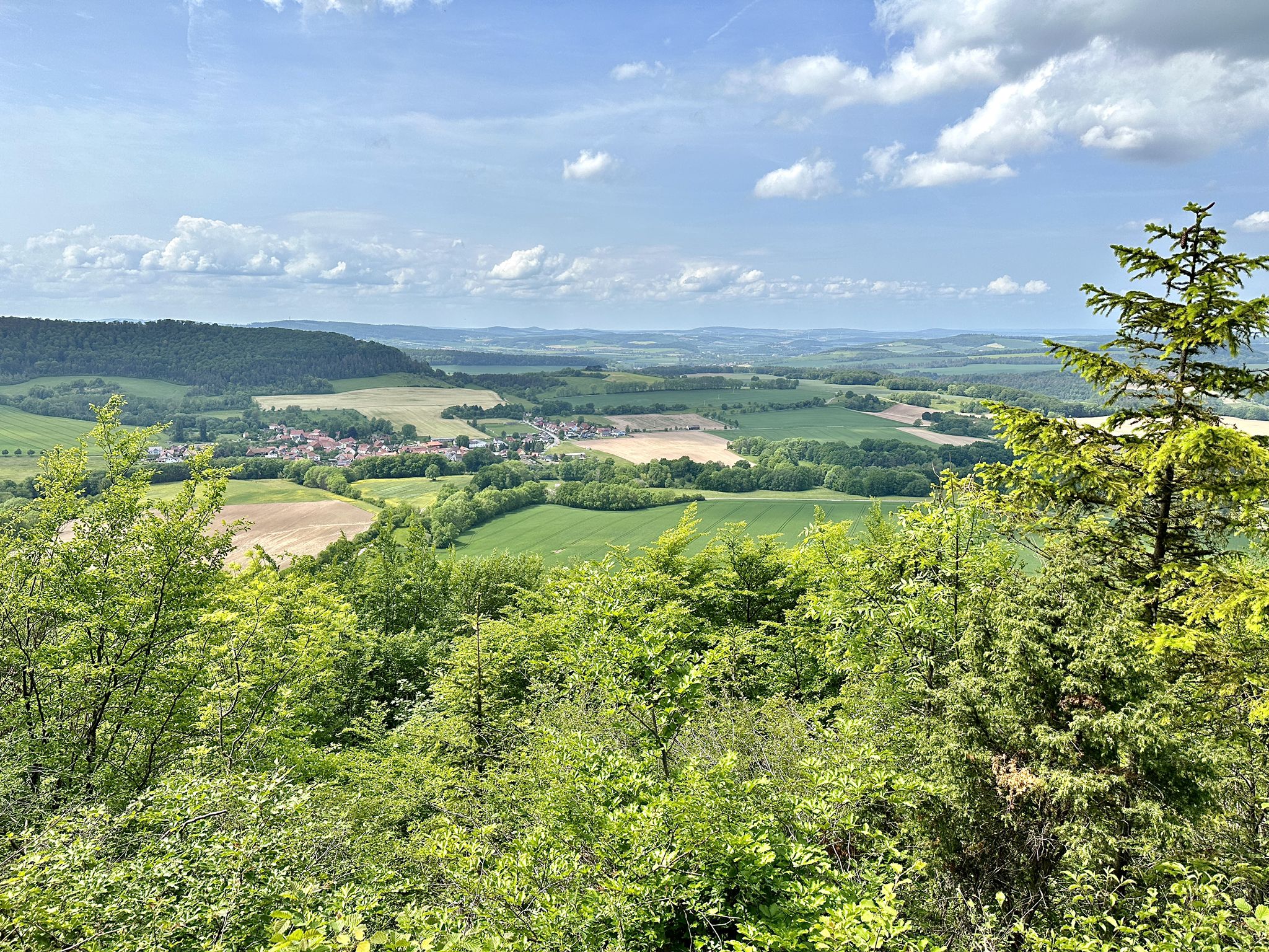 Blick Richtung Birkenfelde und Hennefeste