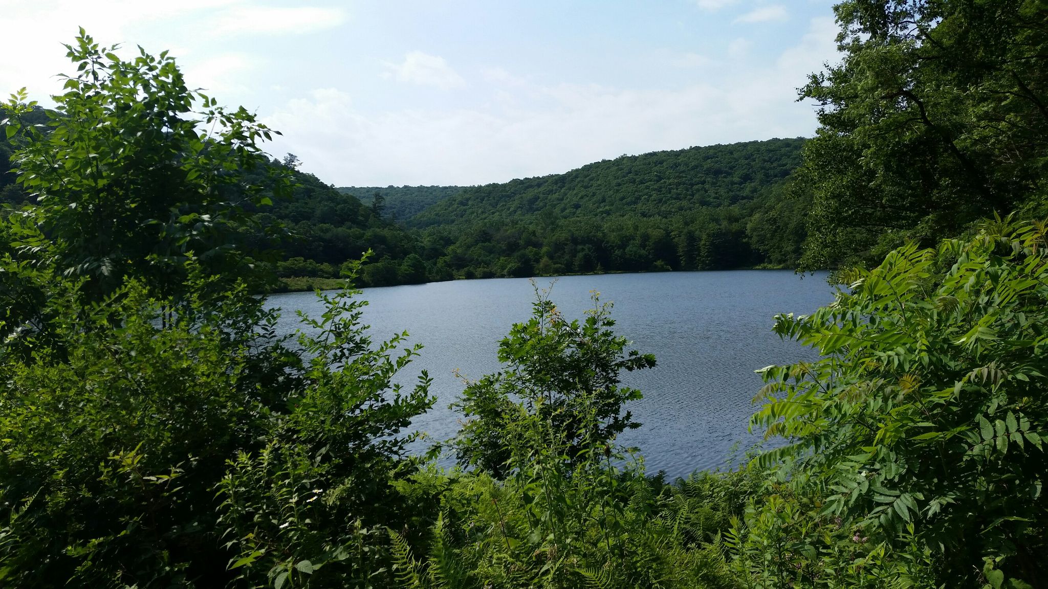 Keller Reservoir 