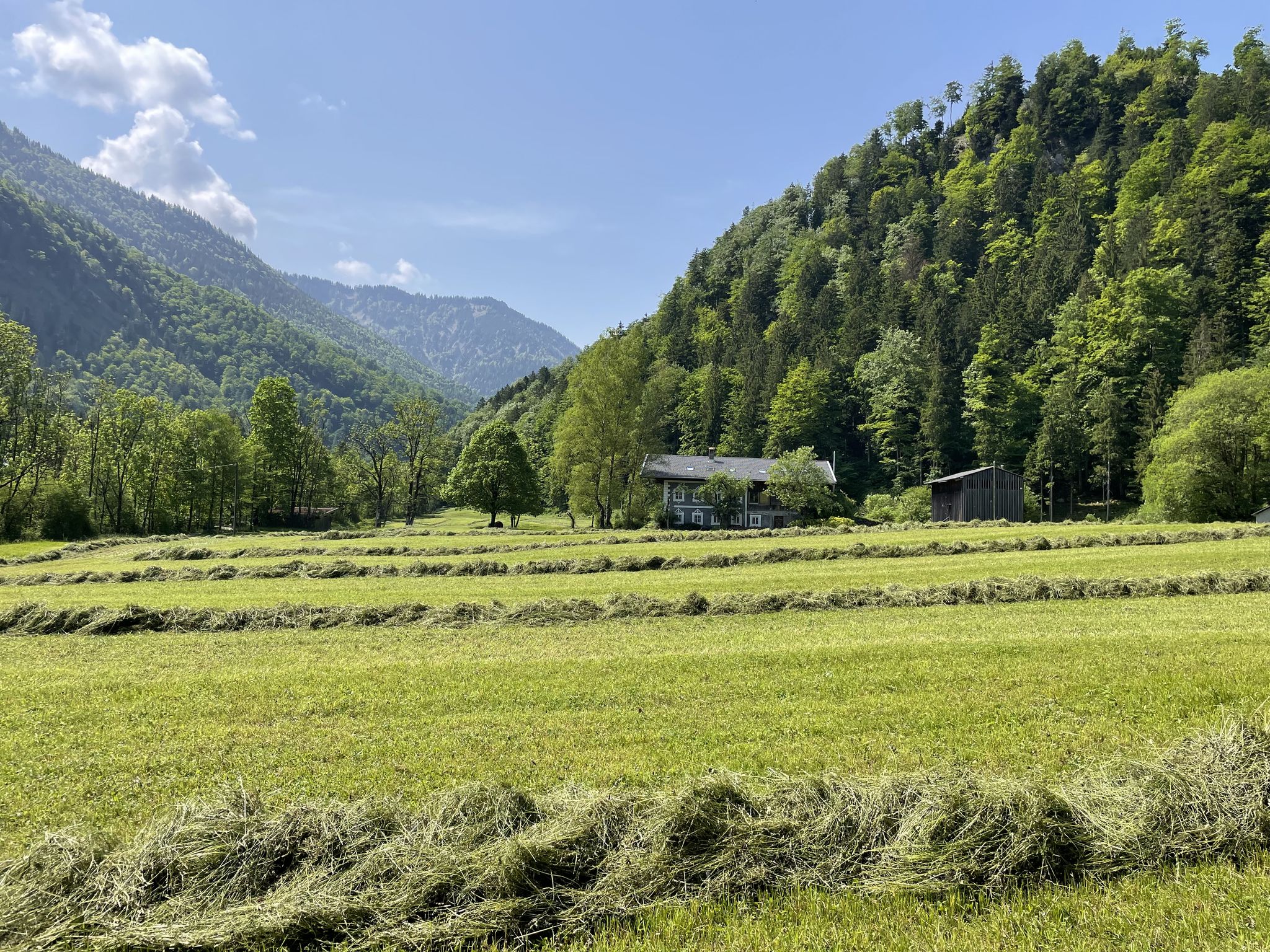 Hainbach