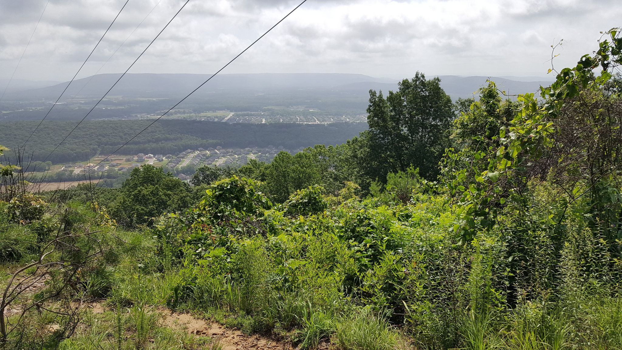 Overlook with power lines, lush green trees, distant town under cloudy sky. - Bill and Marion Certain Trail