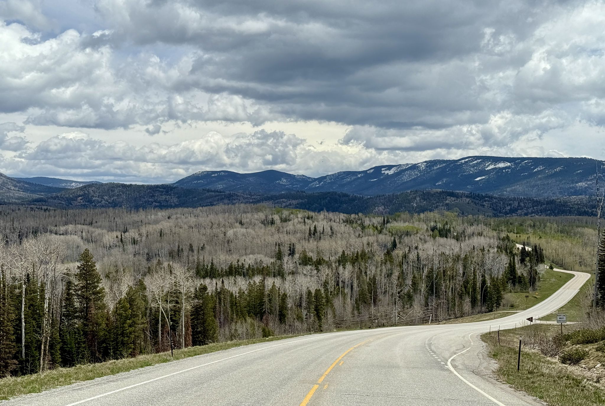 Winding road through a forest with mountains under cloudy skies. - Reader to Battle Pass road ride