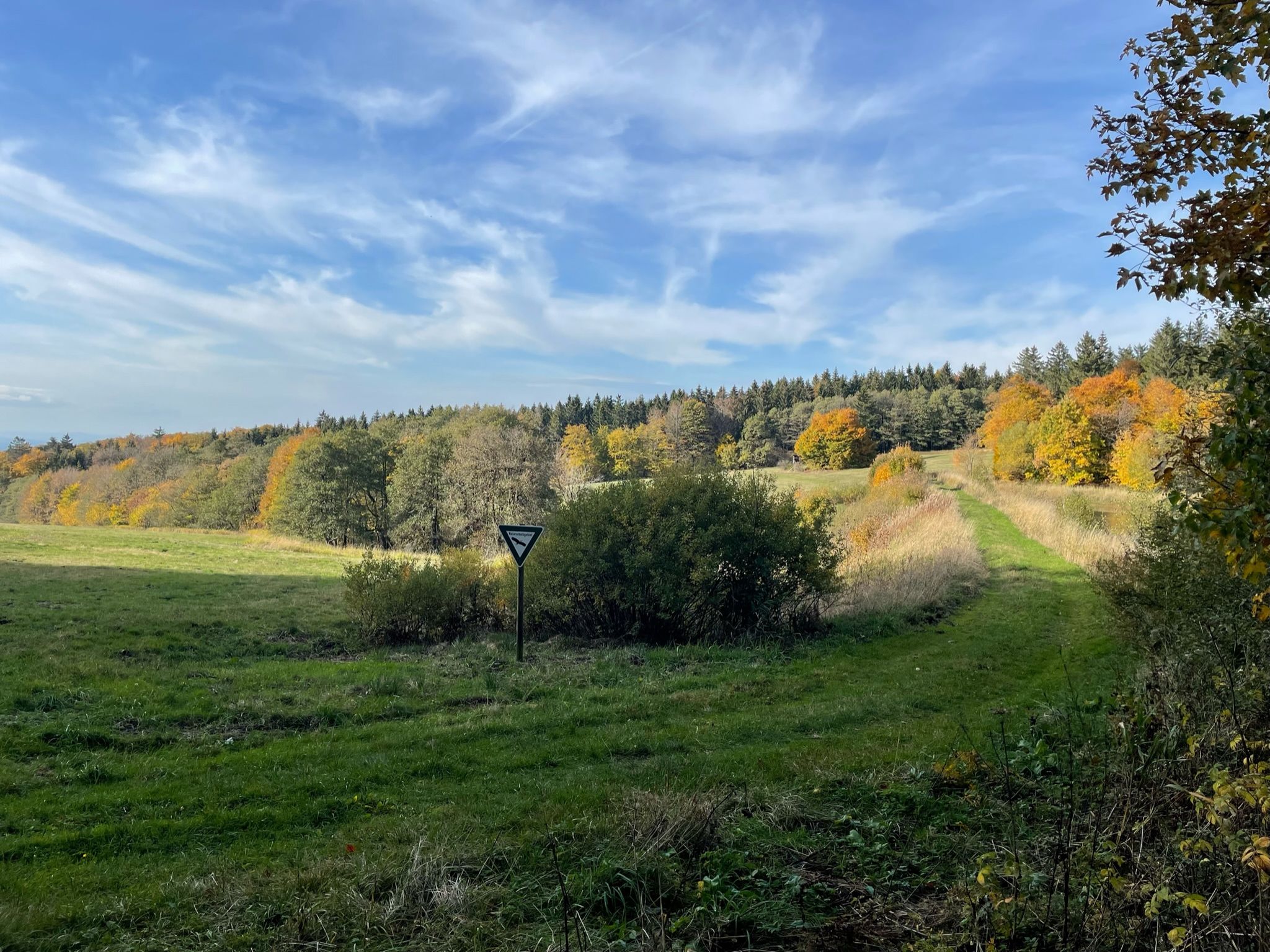 Weg am unteren Forellenteich (Flößerteich)