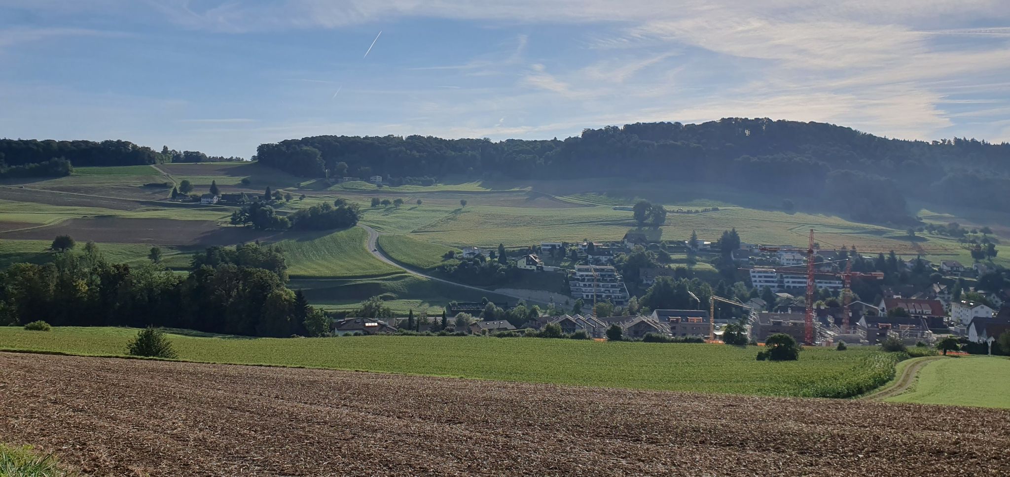 Siglistorf / Belchen