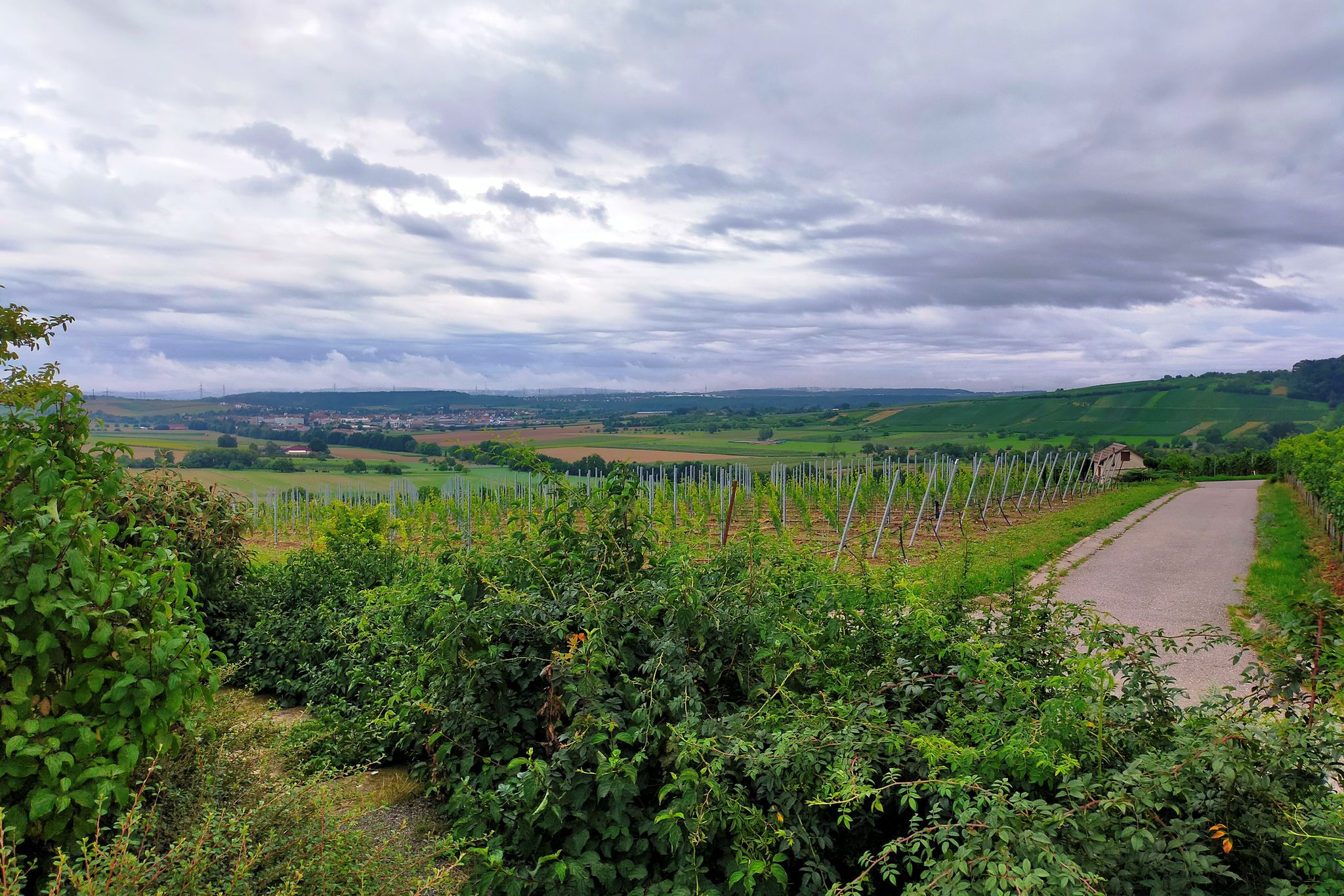 Blick nach Erligheim