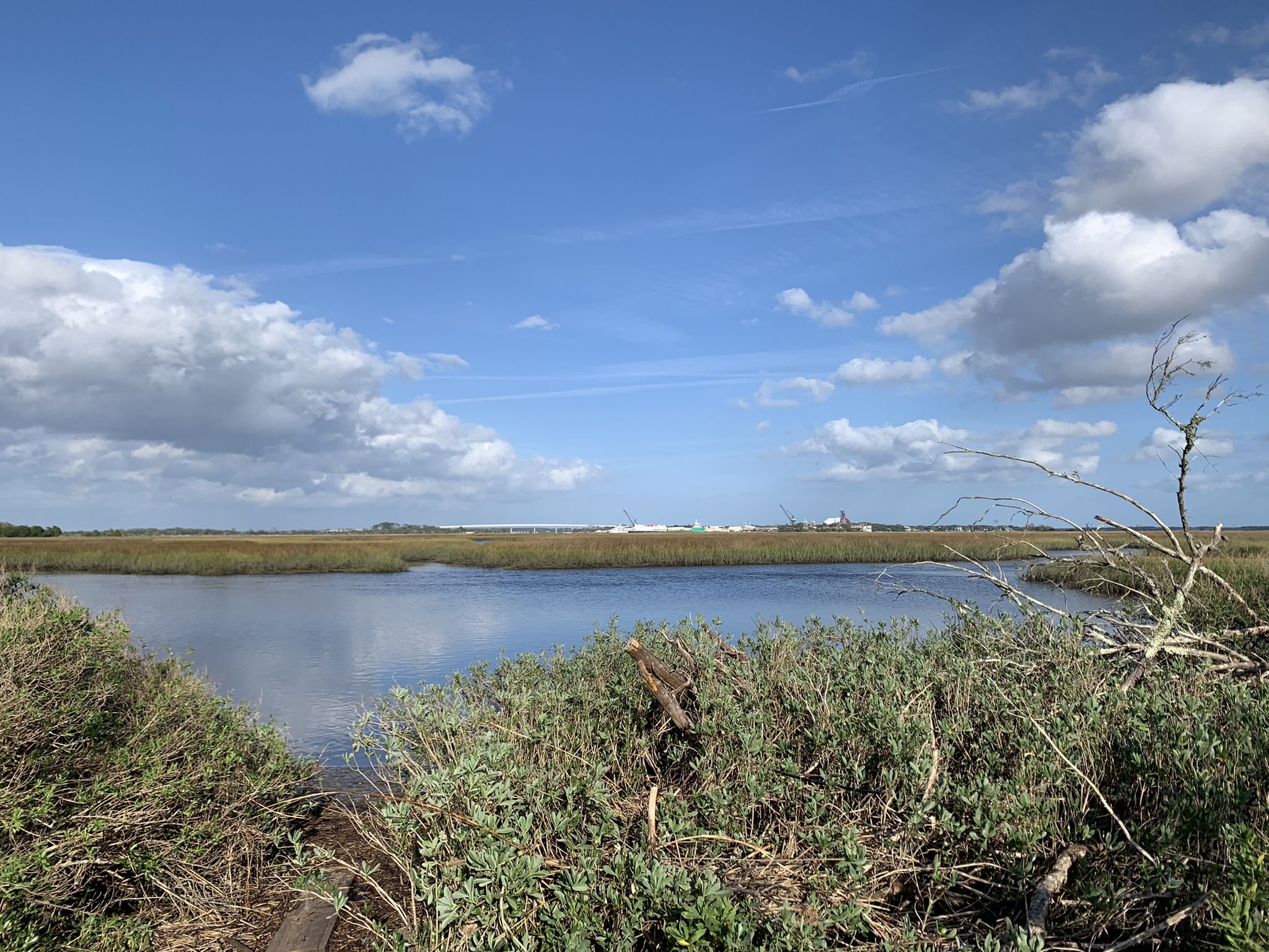 Wide view of a calm water body surrounded by green marsh under a cloudy sky. - Timuquan Ravine Trail to Spanish Pond