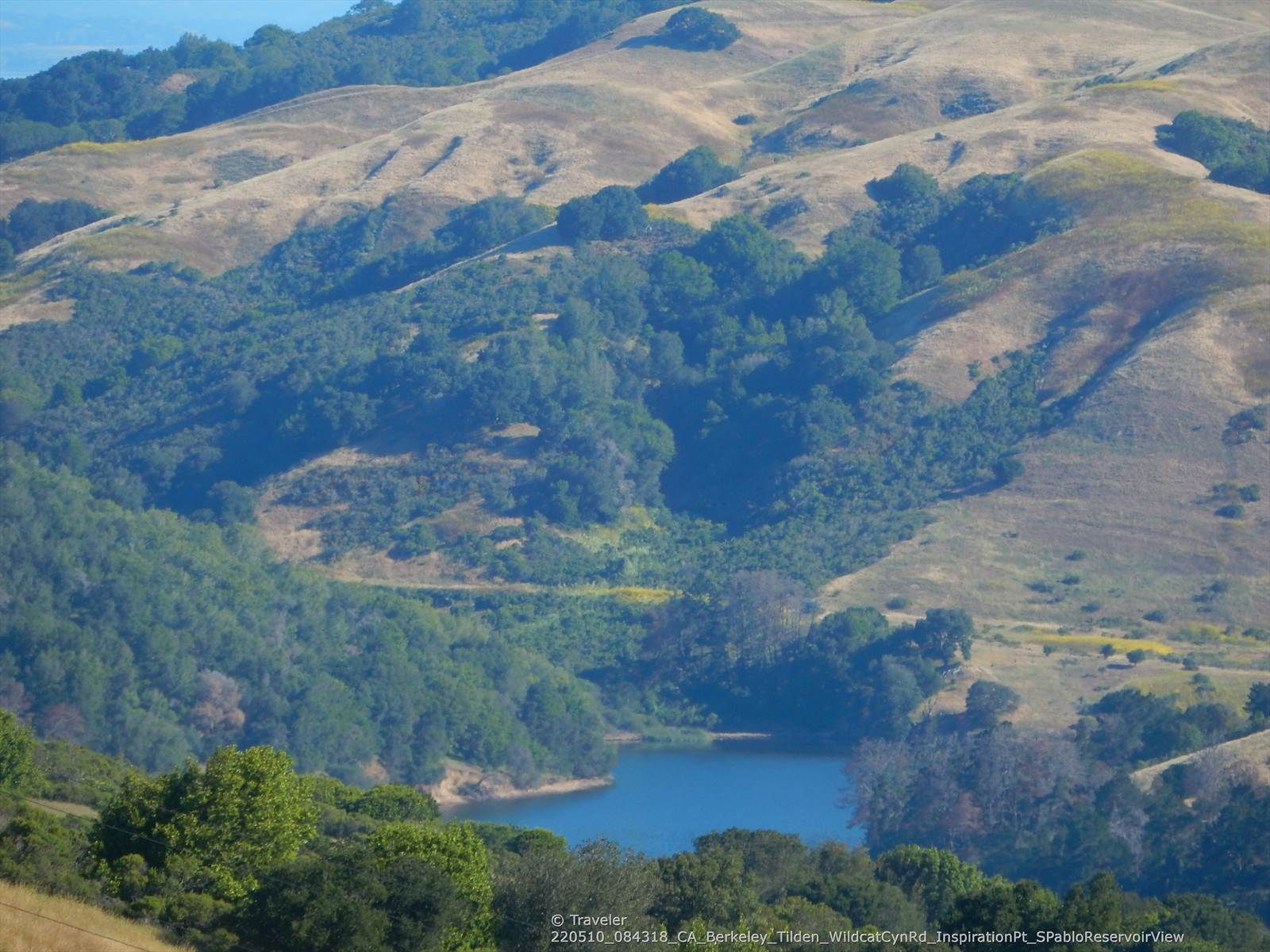 Sunny view of a blue lake nestled among green and golden rolling hills. - Seaview and Big Springs Loop