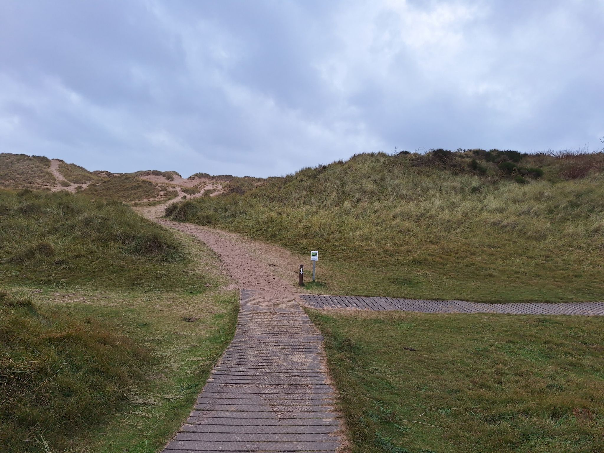 Into the dunes