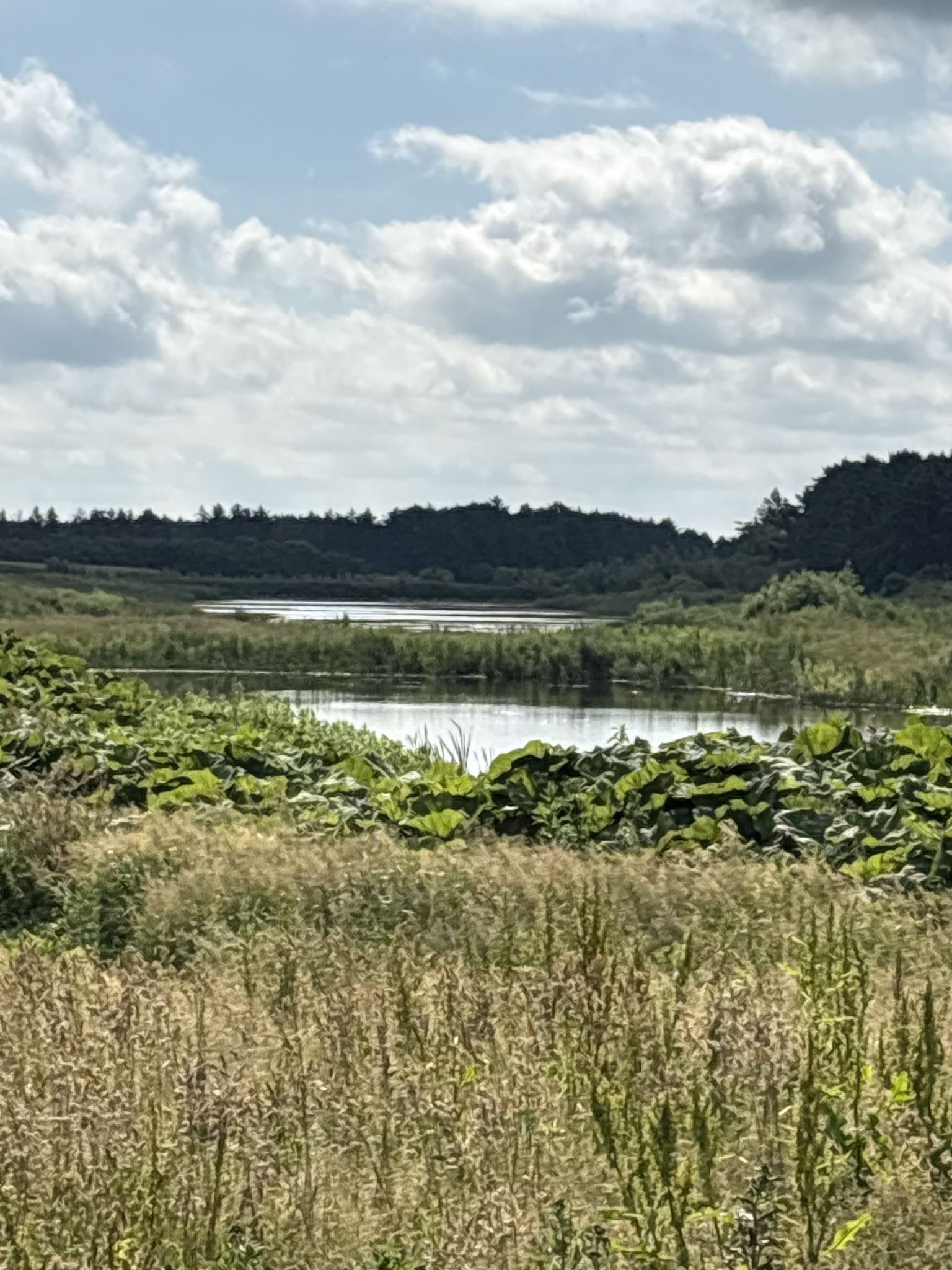 Blick auf die Nørre Lyngby Søernes