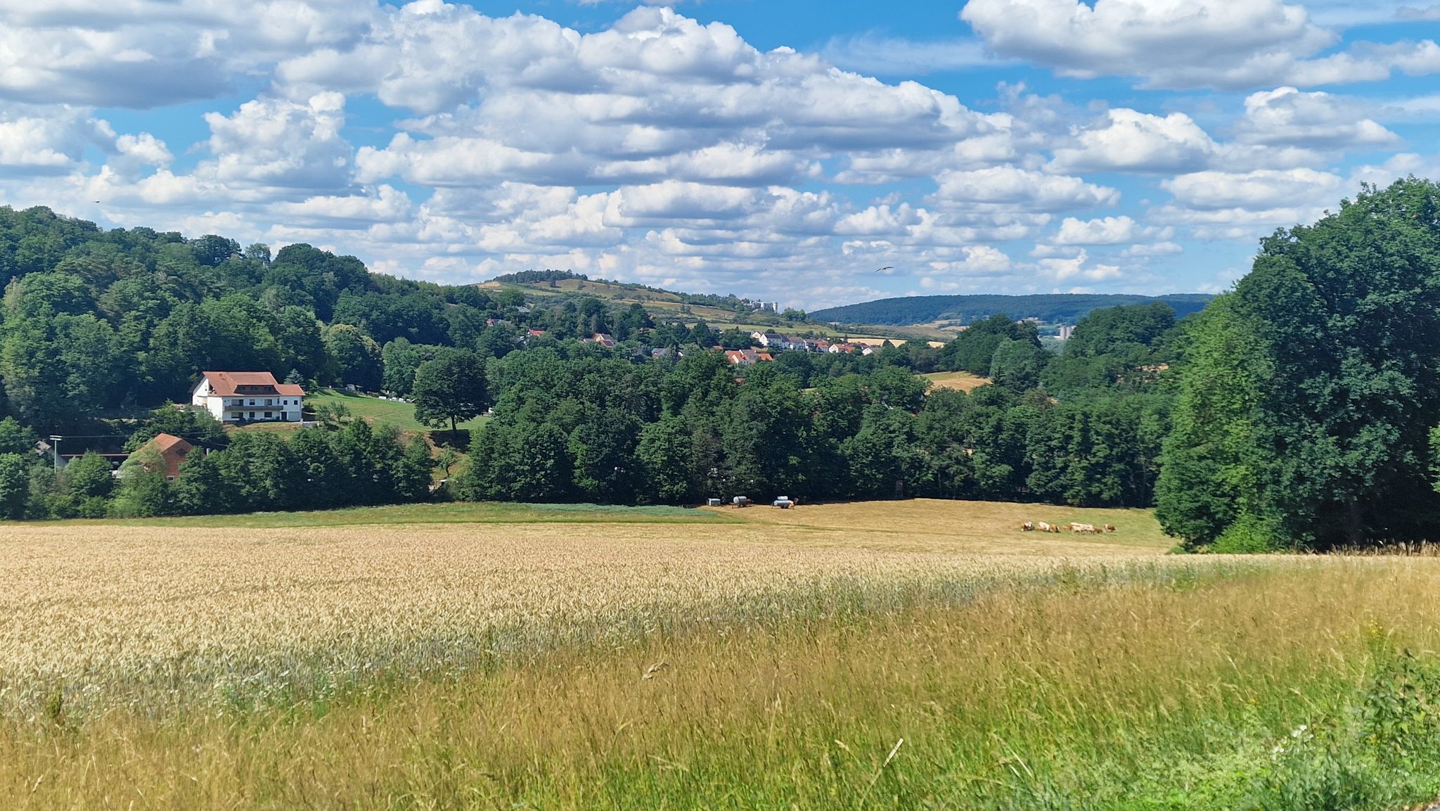 Blick Richtung Uffhausen