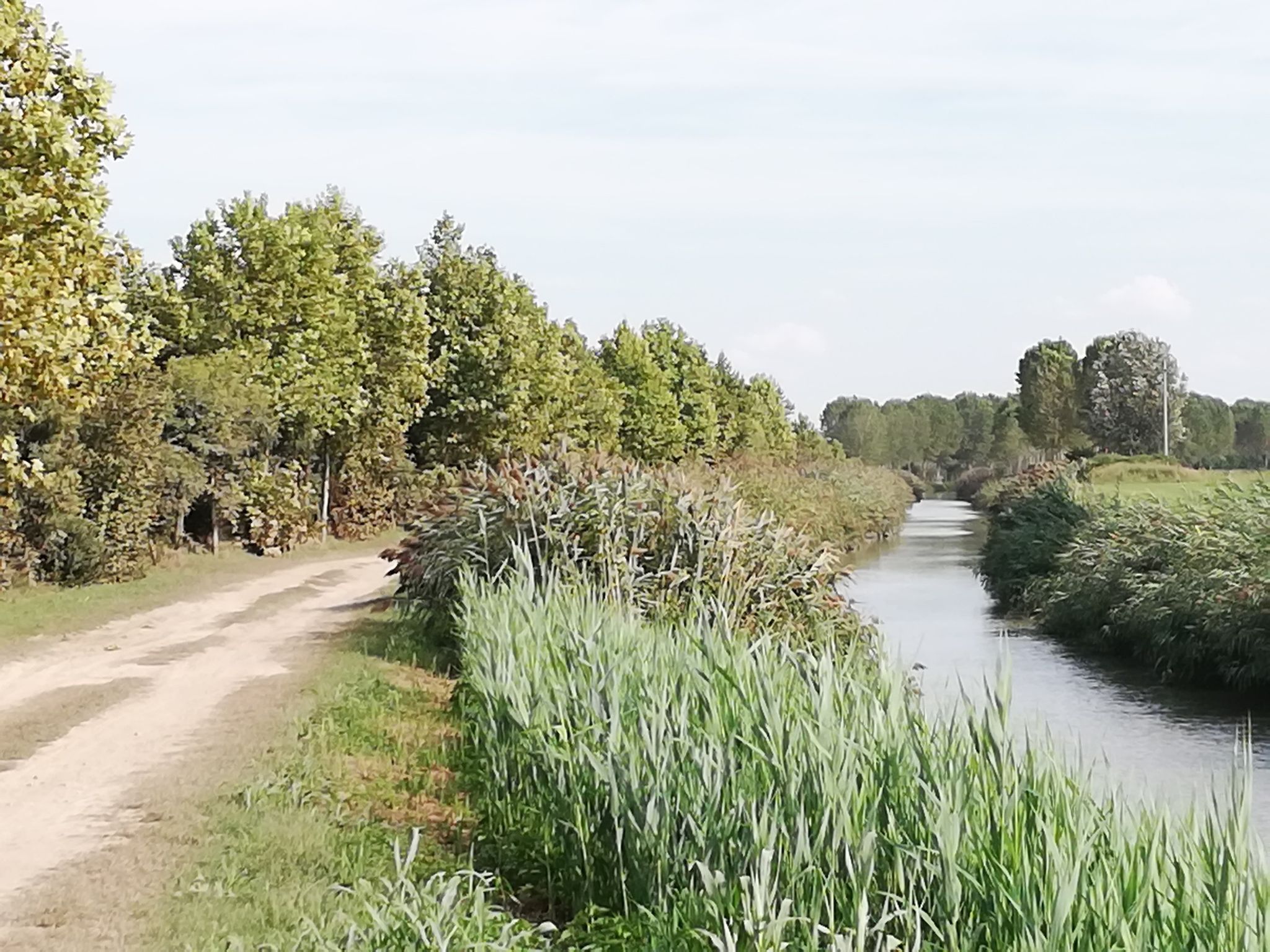 ... und jetzt geht es eine Weile auf einem sandigen Weg an der Tione delle Valli entlang ...