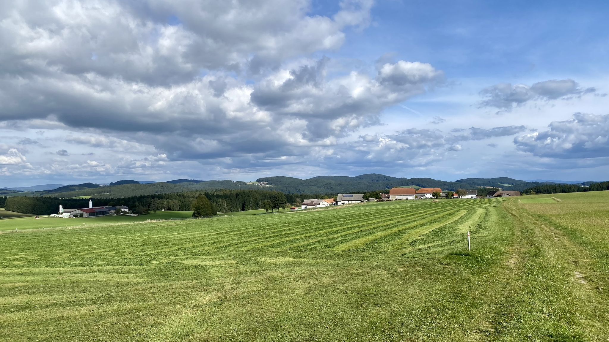 Blick zurück Richtung Reichenau/Ottenschlag