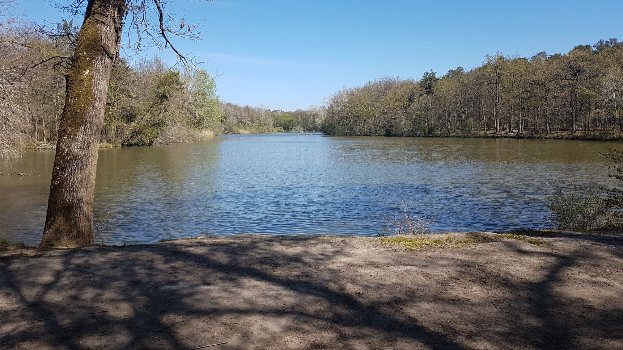 Etang