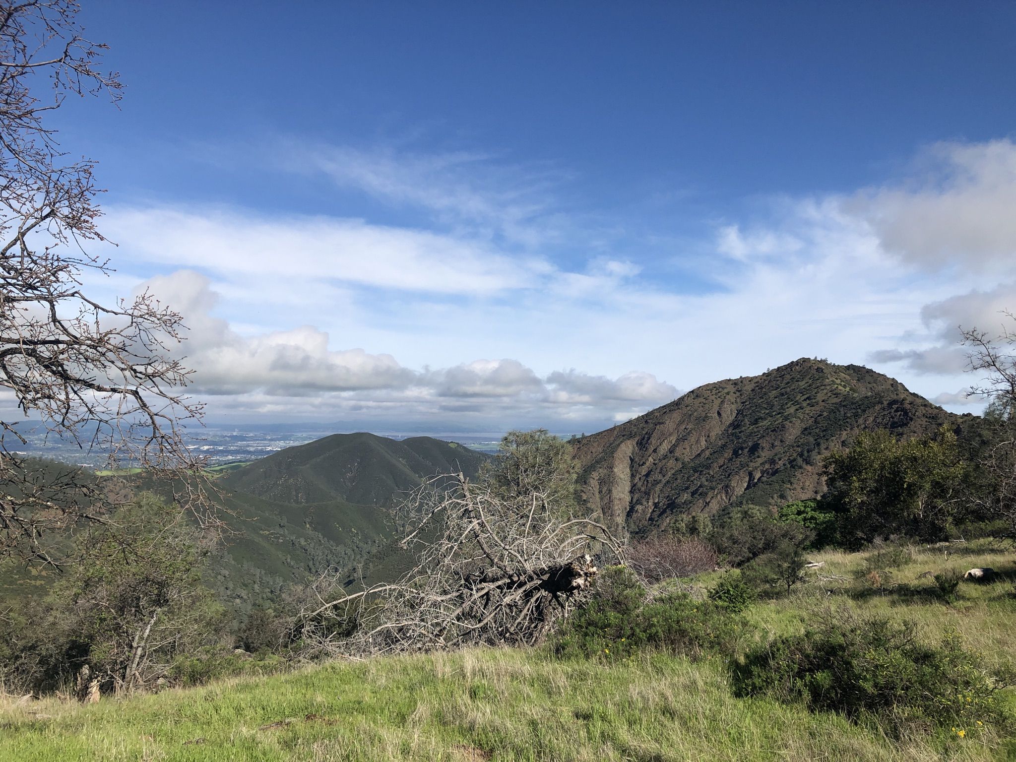 Green hills and forested mountains under a partly cloudy sky with scattered trees. - Mitchell Canyon Visitor Center – Mitchell Canyon Road Trail loop from Lot 25