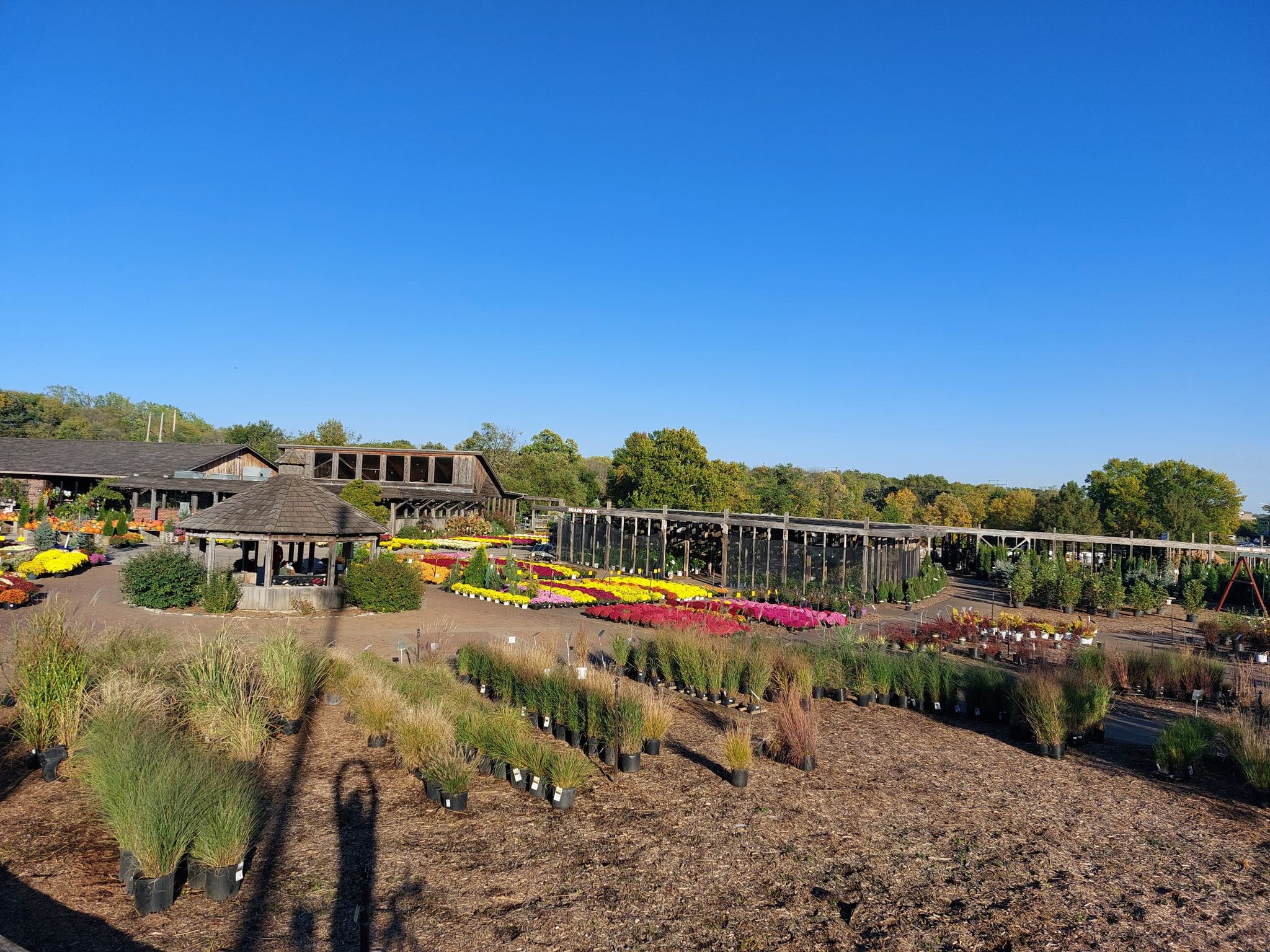Sunny outdoor plant nursery with rows of colorful potted flowers and shrubs. - Indian Creek, Tomahawk Creek, and Heritage Trails loop from Olathe