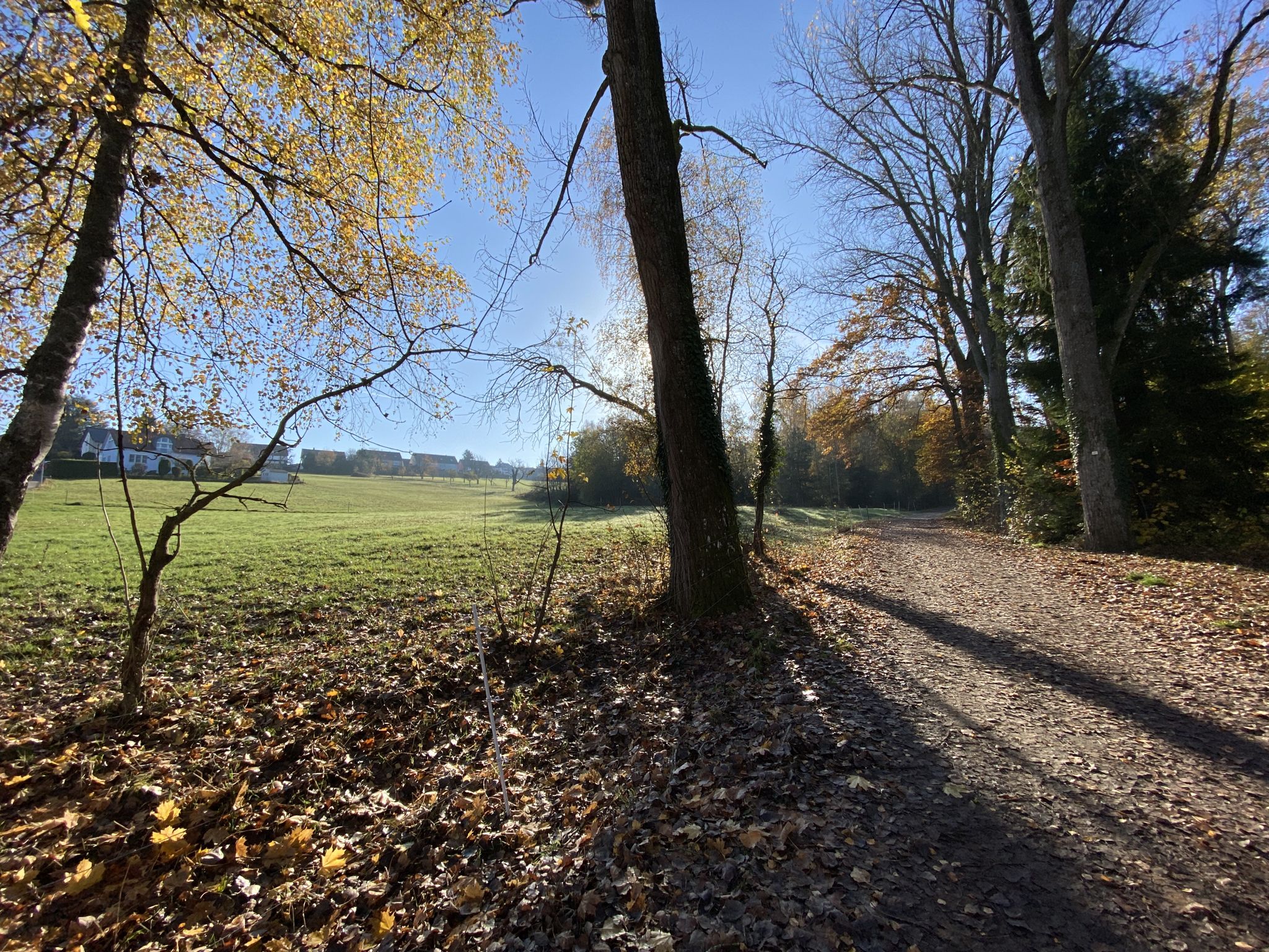 Blick in Richtung Grunbach