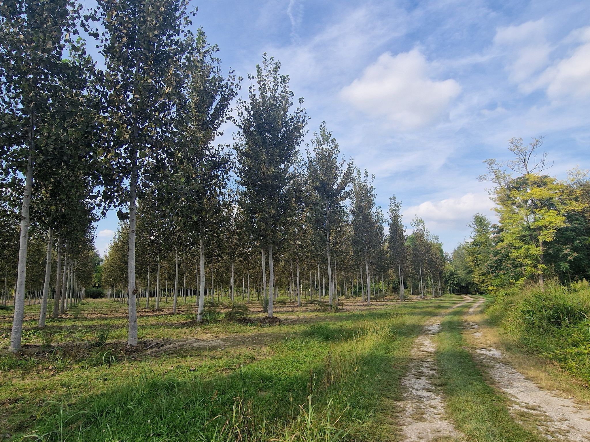 Wegstrecke von Zoppola nach Murlis