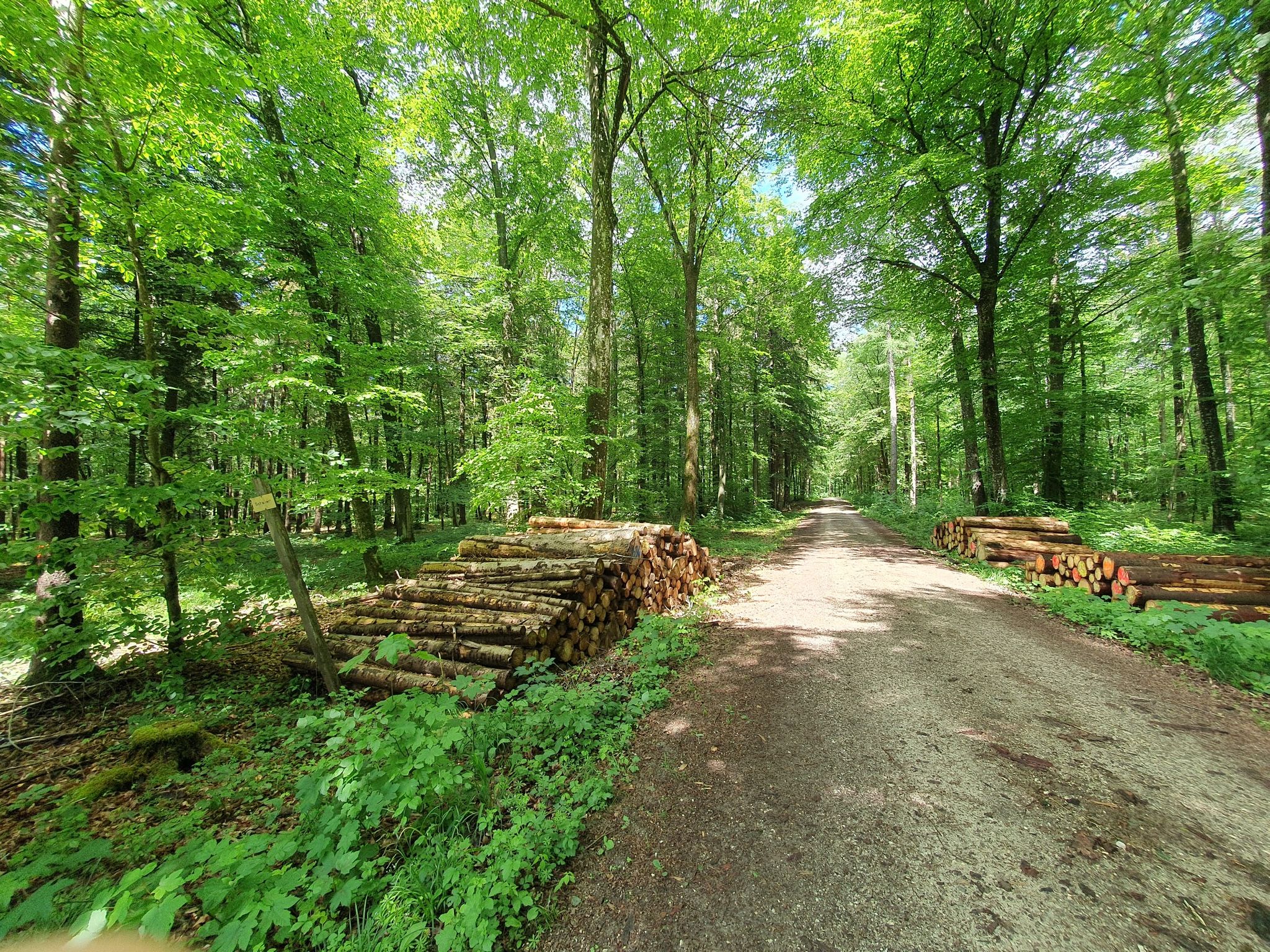 Schabert heißt