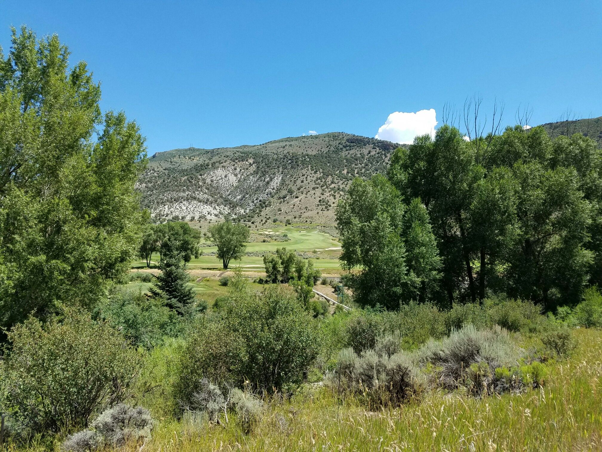 Lush green valley with trees and distant mountains under a bright blue sky. - Eagle Valley Trail