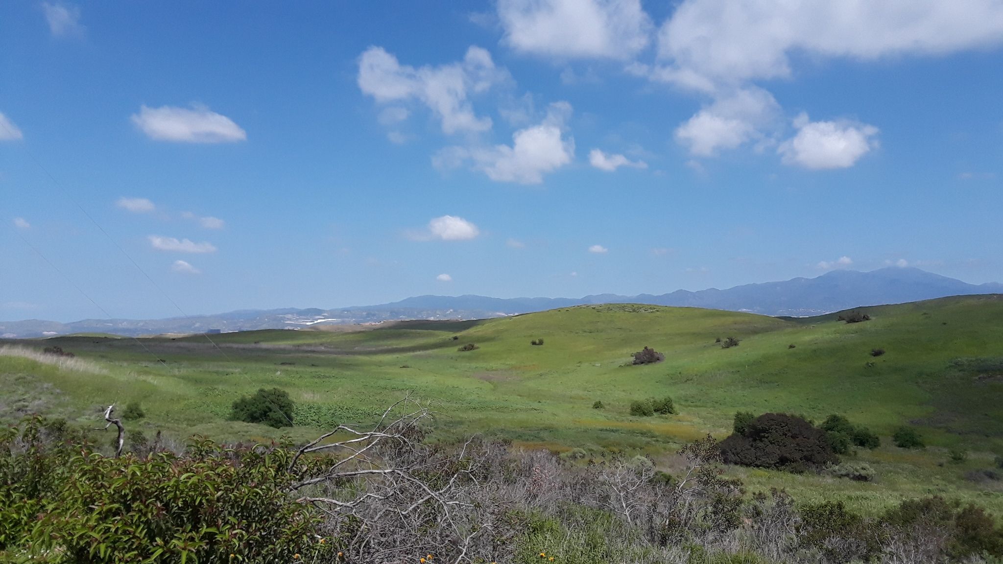 Rolling green hills under bright blue sky with scattered white clouds. - Little Sycamore Canyon, Serrano Ridge, and West Canyon Loop