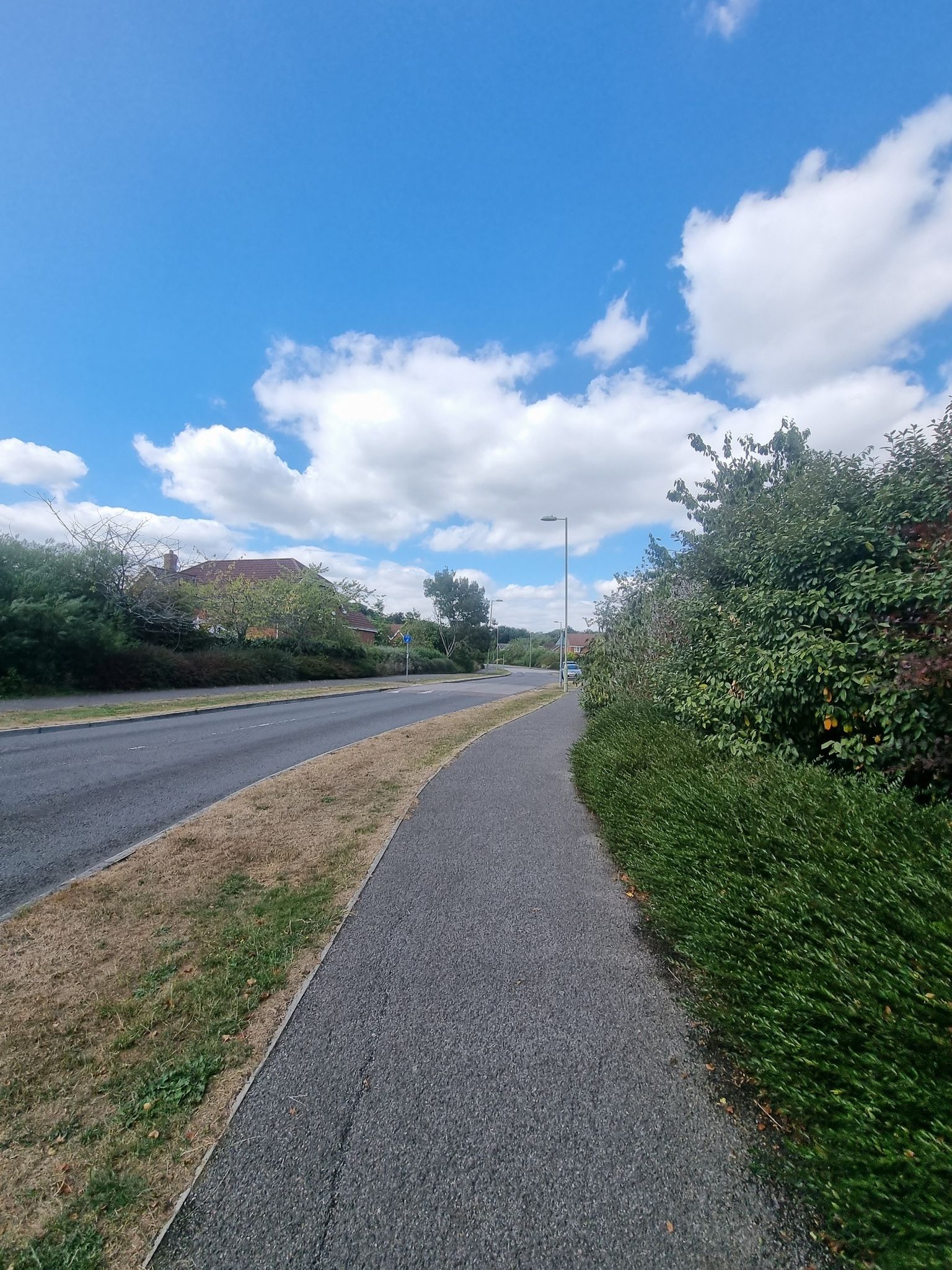 Skys Wood Road