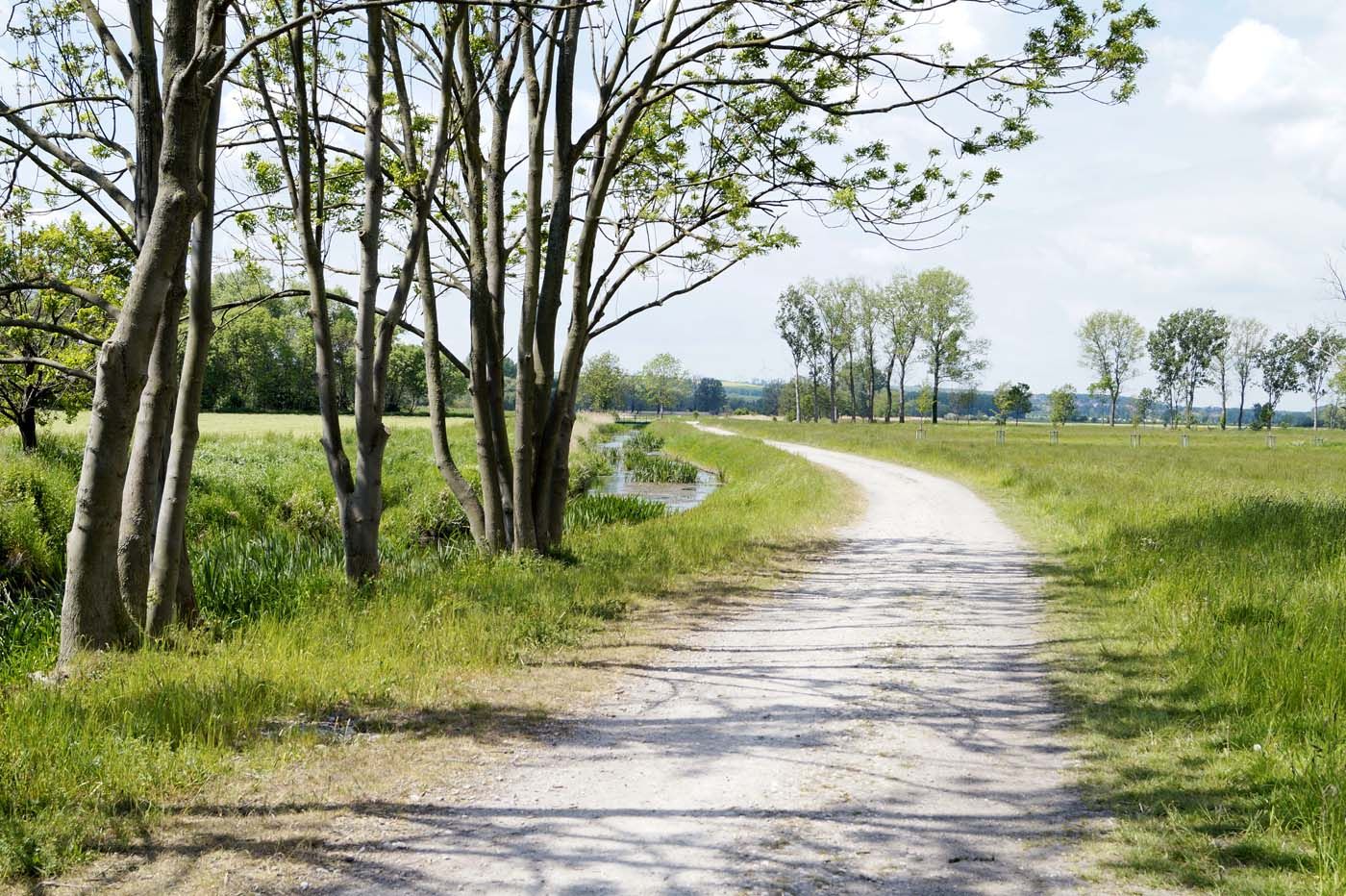an der Fuhne