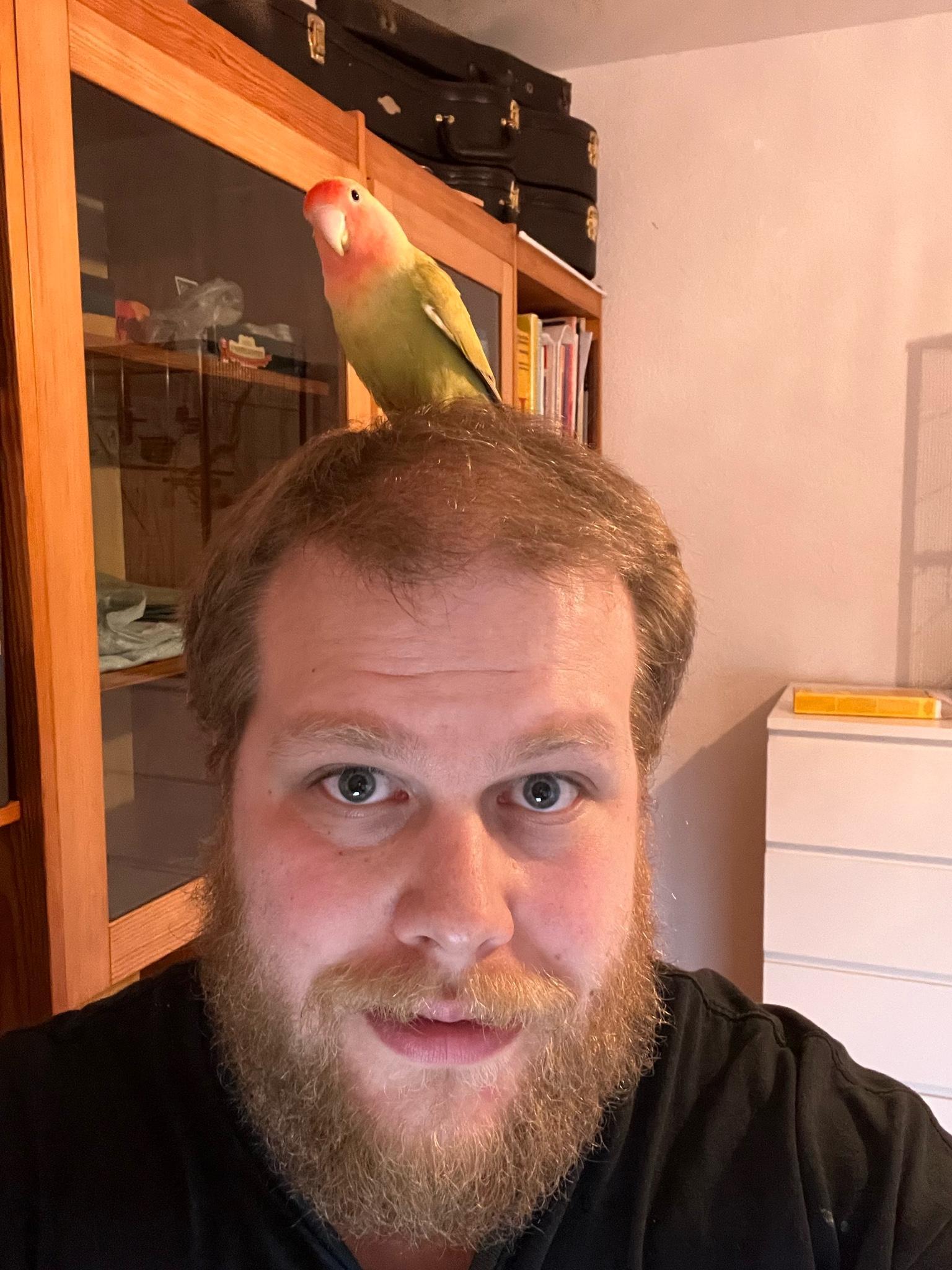 user avatar