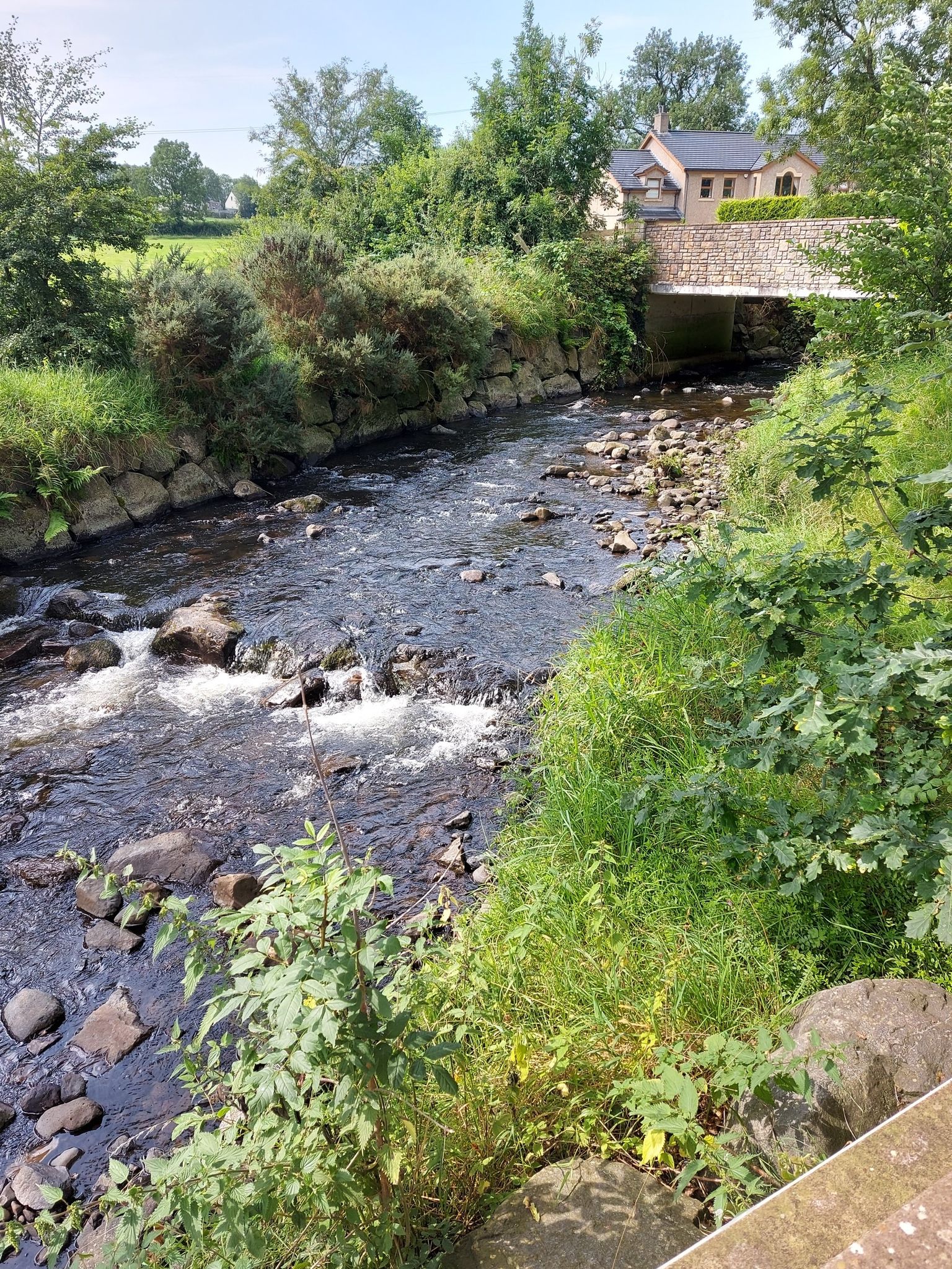 Newmills stream 