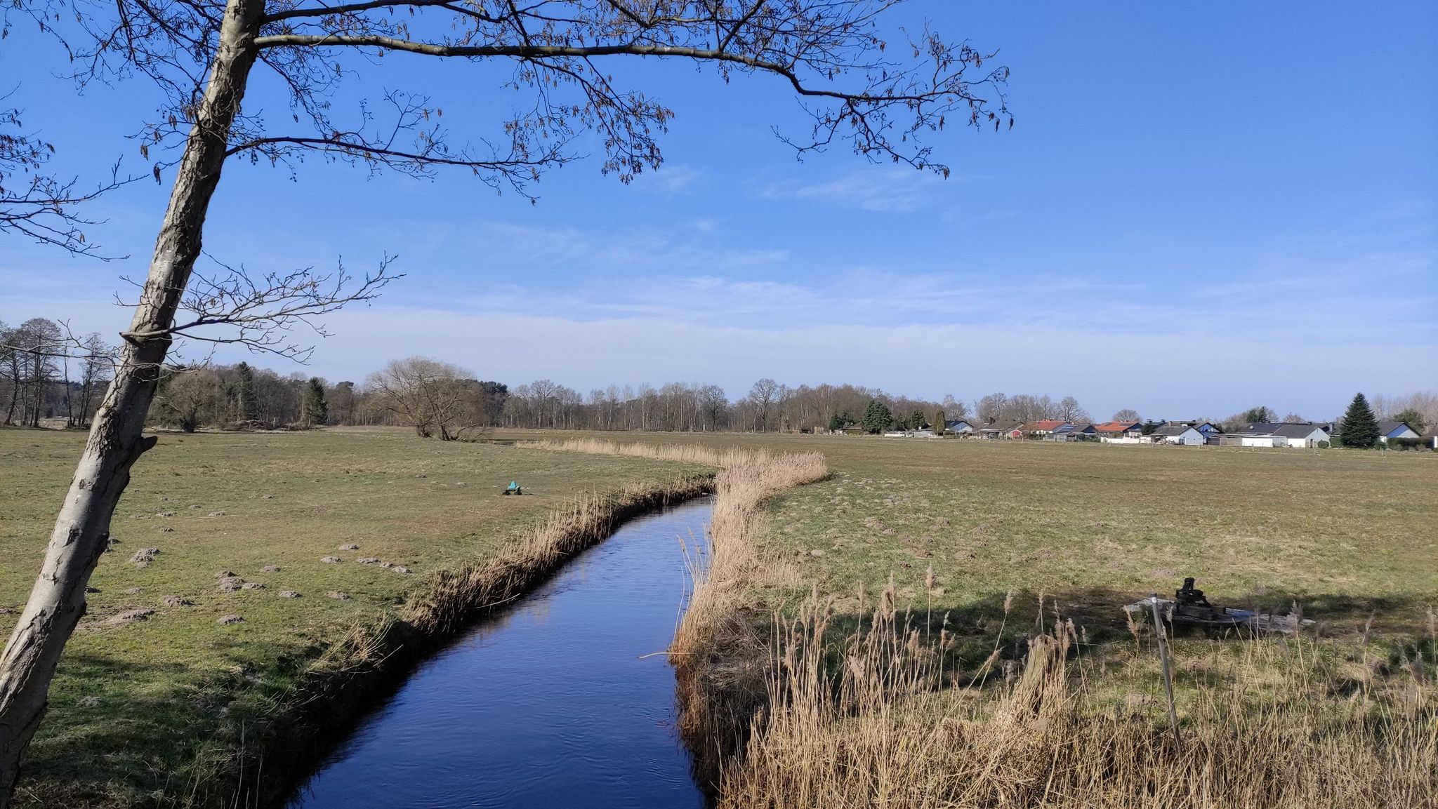 Die Rodau