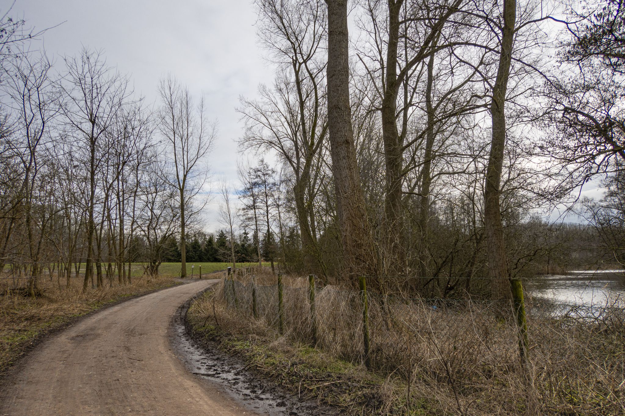 Over de Damweg langs de Berlarebroek