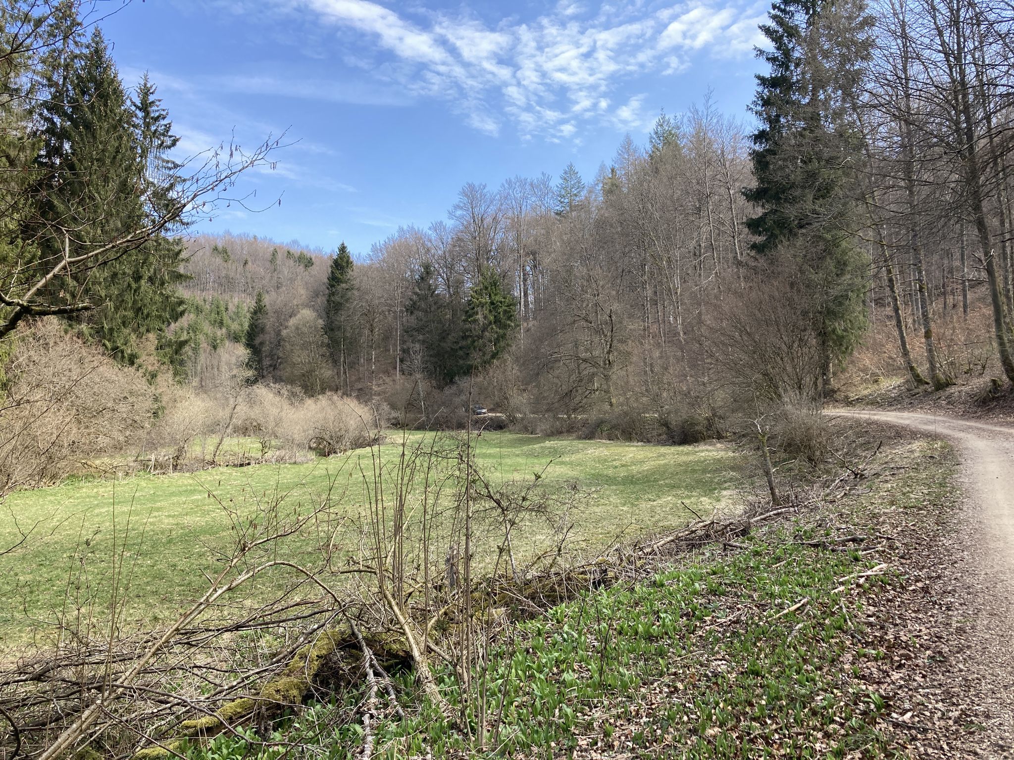 Im Schalkenbachtal.