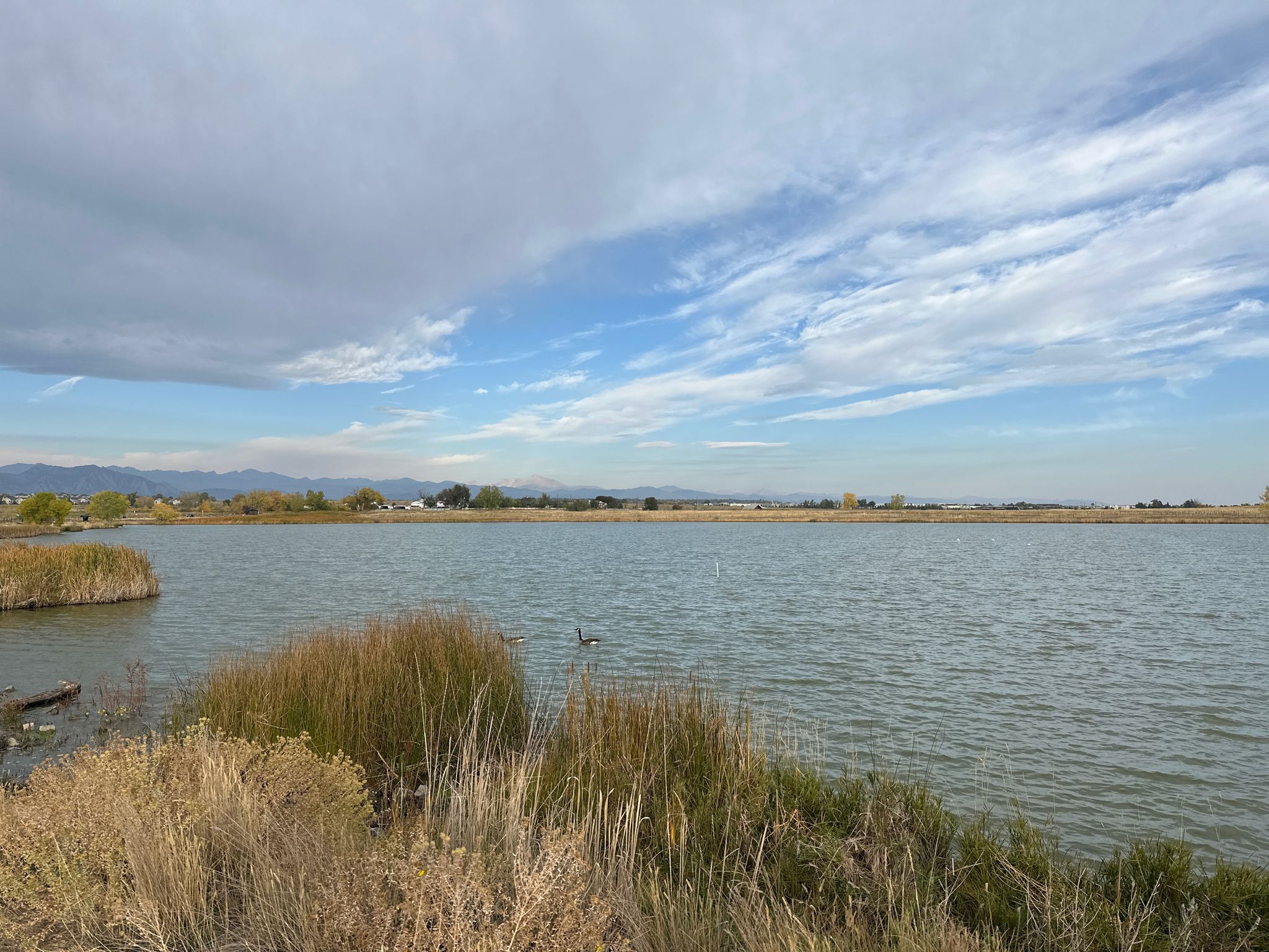 A wide lake with reeds, distant mountains, and a partly cloudy sky. - Rock Creek and Coal Creek Trail Loop