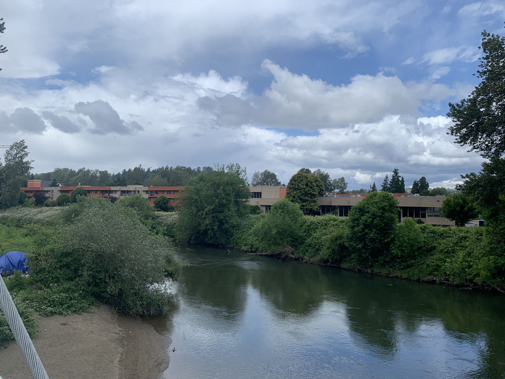 A river flows past green trees and buildings under a bright, cloudy sky. - Van Doren's Landing Park – Green River Trail loop from Tukwila
