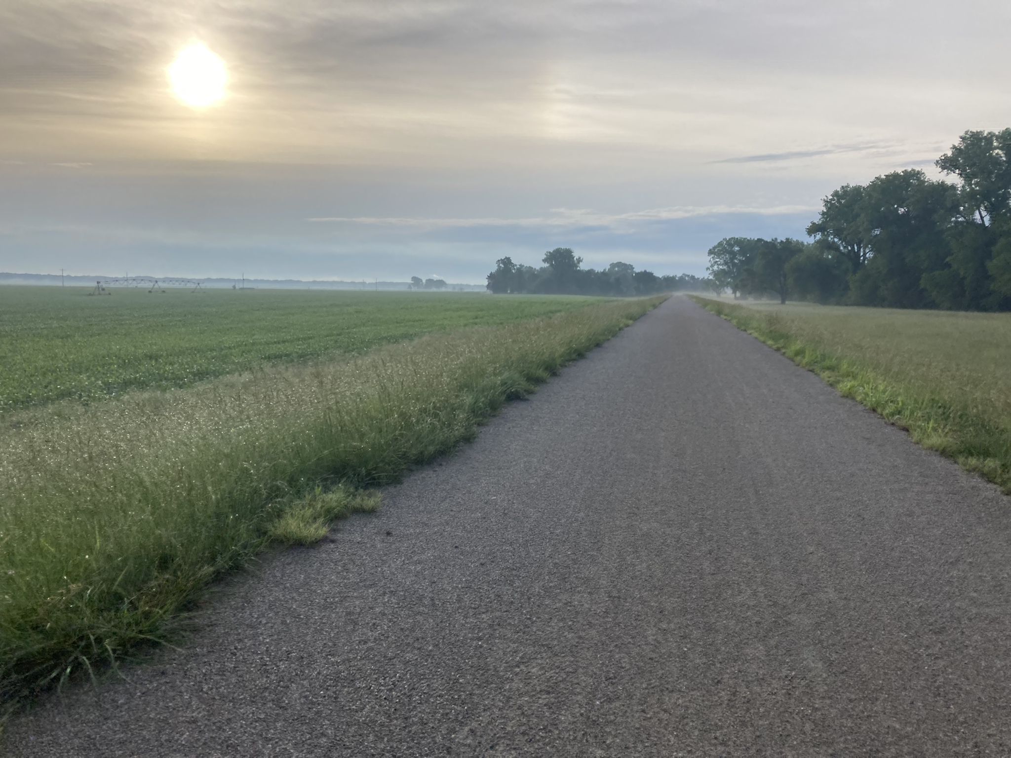 A paved path stretches through misty green fields under a hazy sun. - Lawrence Levee Trail Loop