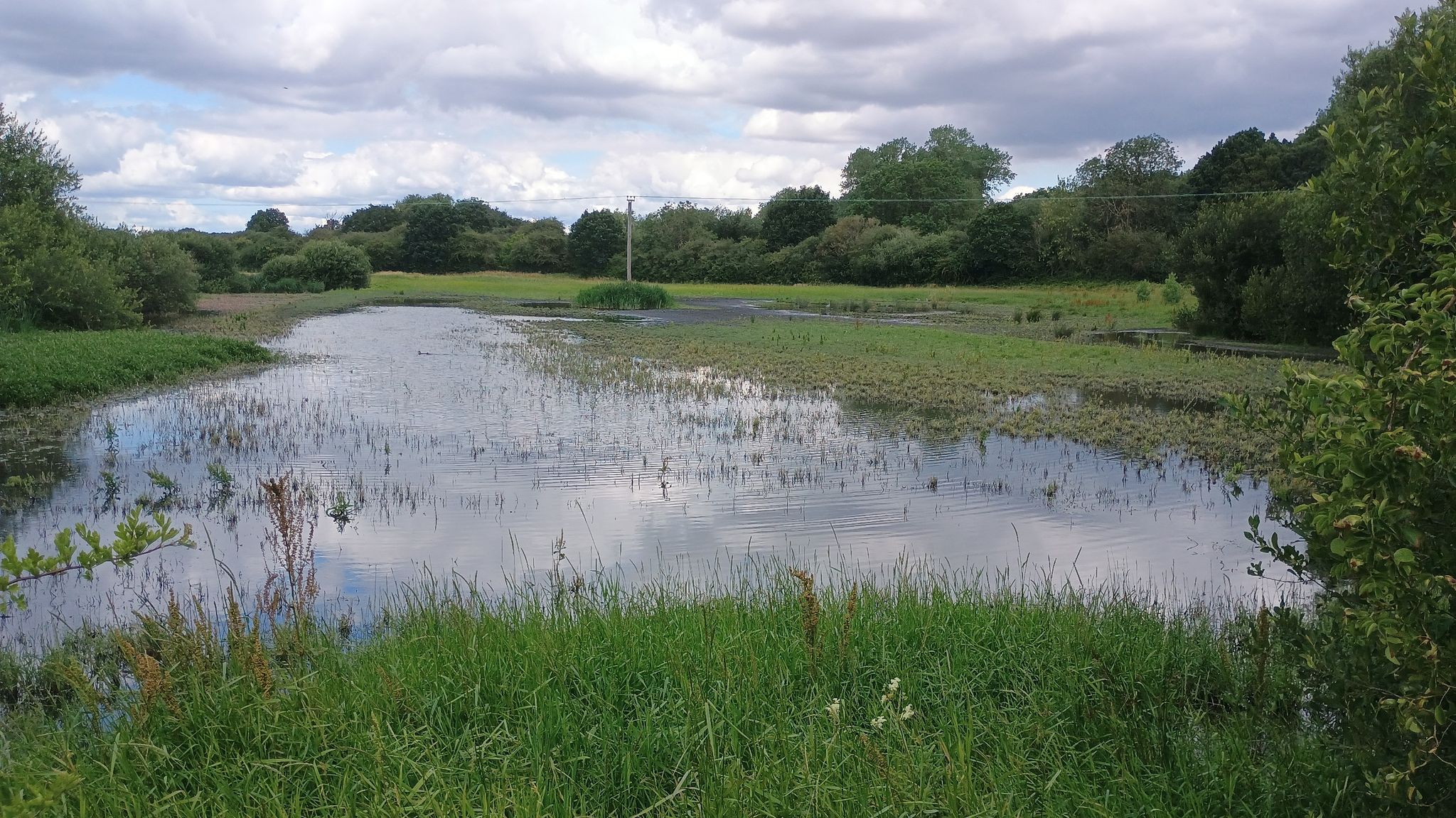 Denaby Ings
