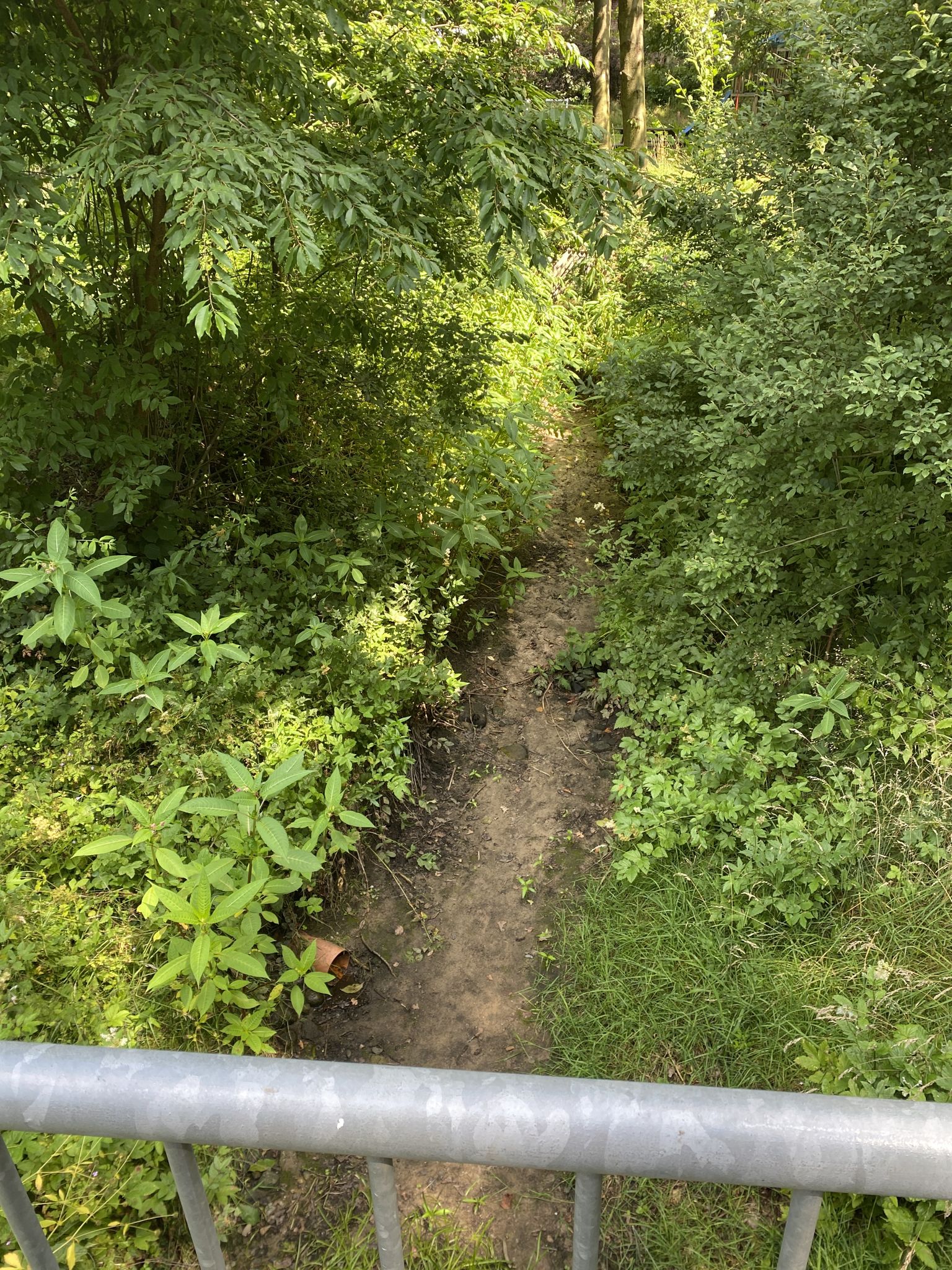 Oberlauf des Steinbach trocken gefallen 