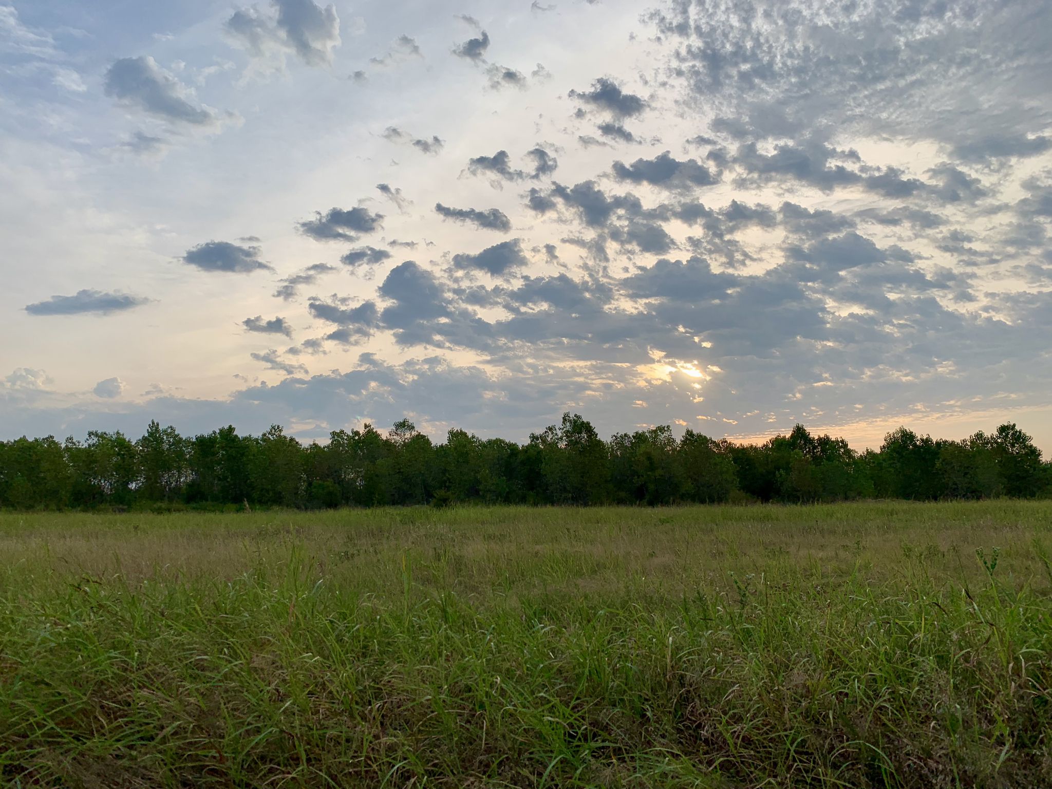 Grassy field with distant trees under a cloudy sunset sky. - Lake Stanley Draper Trailhead - Parking Lot loop from Lake Stanley Draper Park