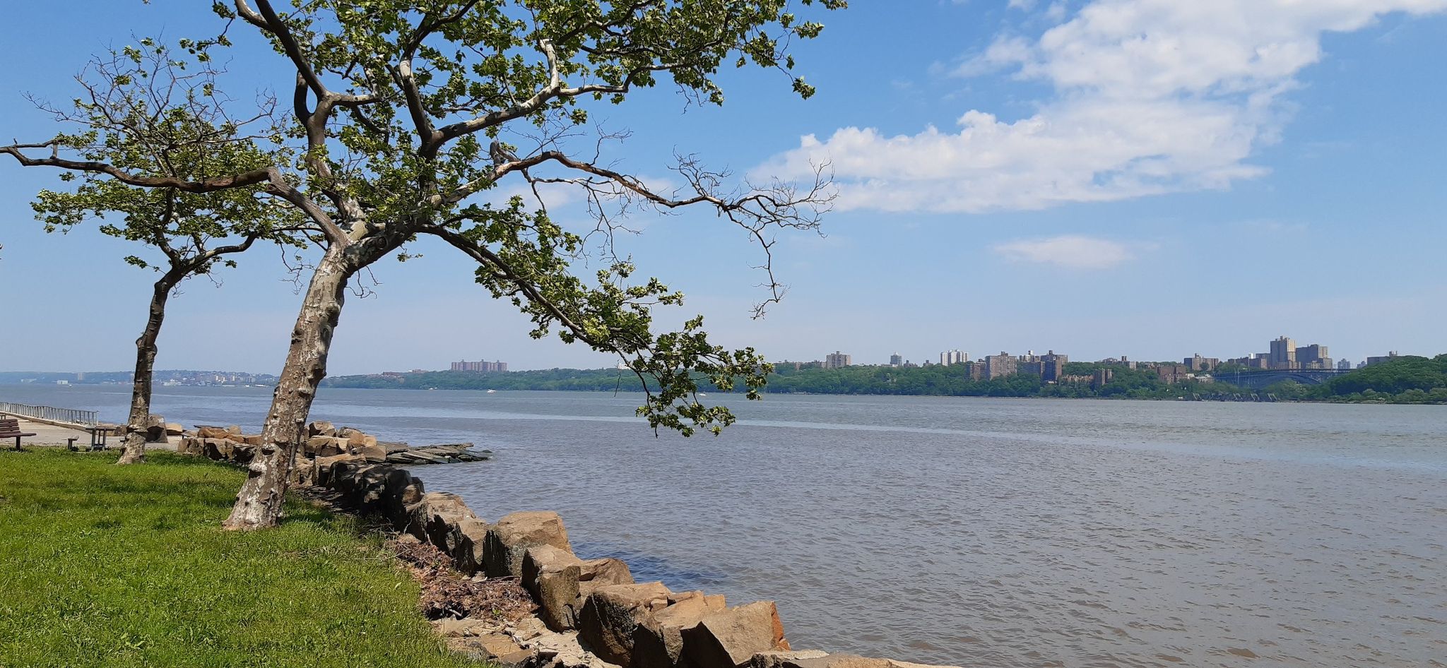Grassy riverbank with trees, rocks, and distant city under a partly cloudy sky. - Allison Park Loop
