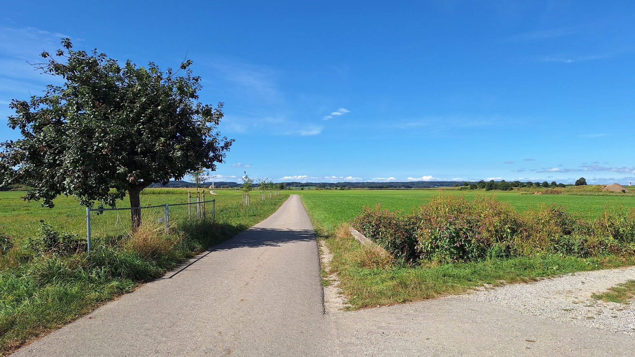 Allgäu ist wieder sehr flach