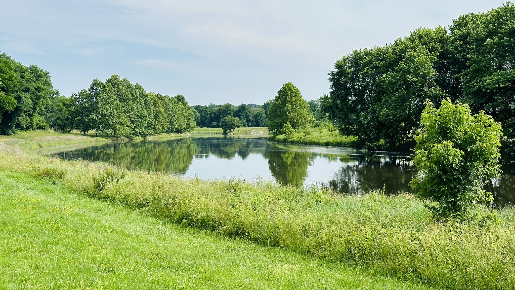 Calm pond surrounded by vibrant green grass and lush trees under a bright sky. - Bladensburg Battlefield – Northeast Branch Trail loop from College Park