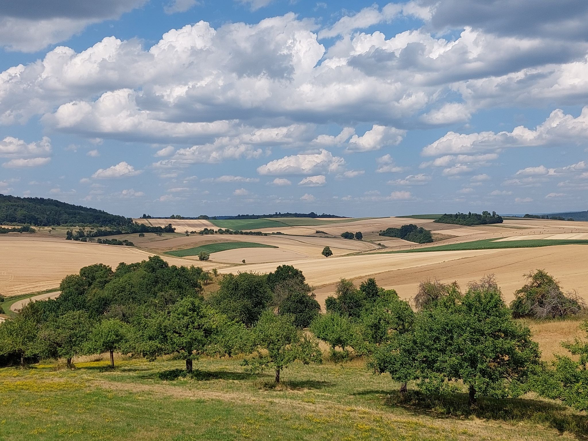 Blick vom Turm