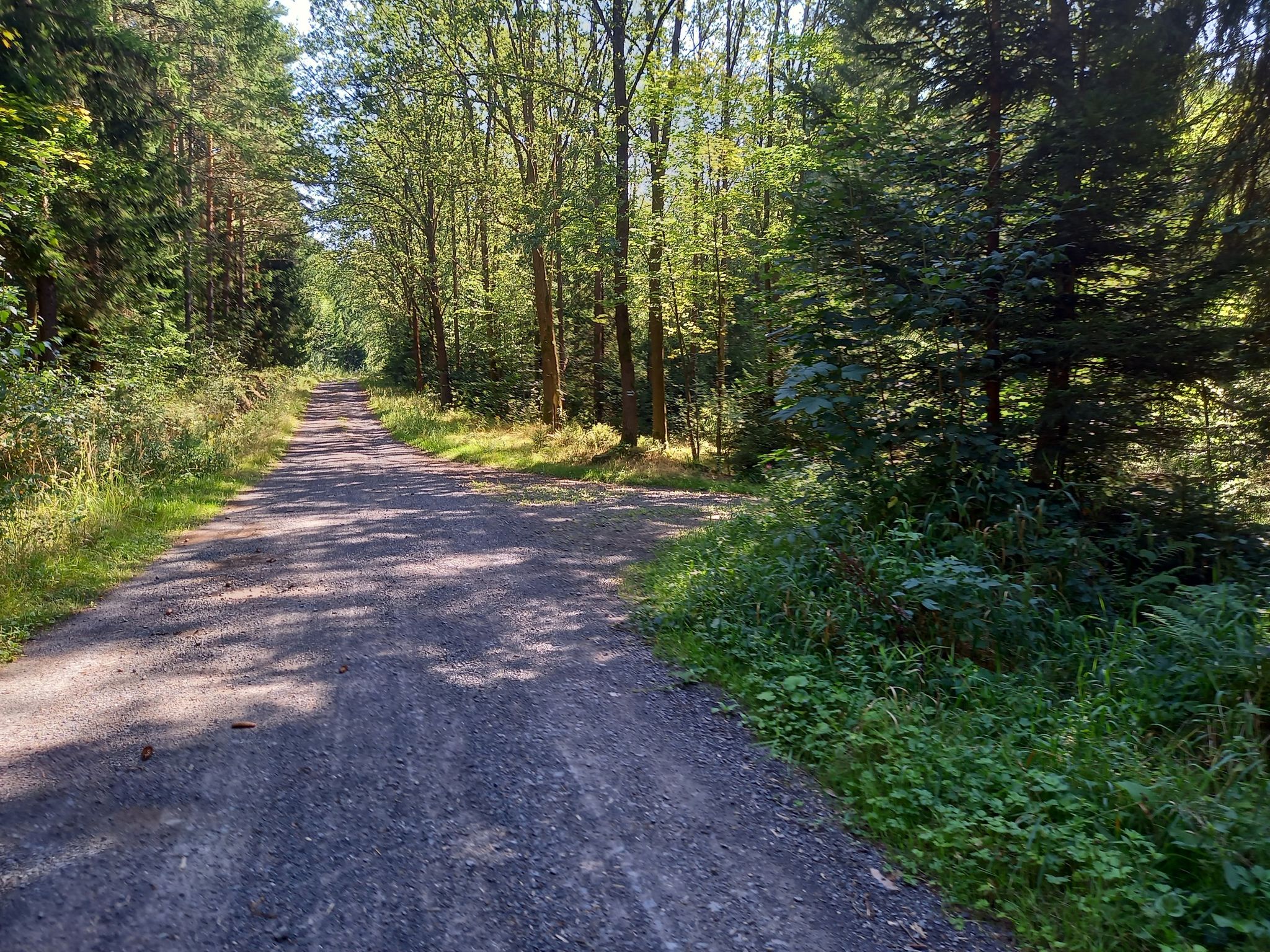 skrzyżowanie