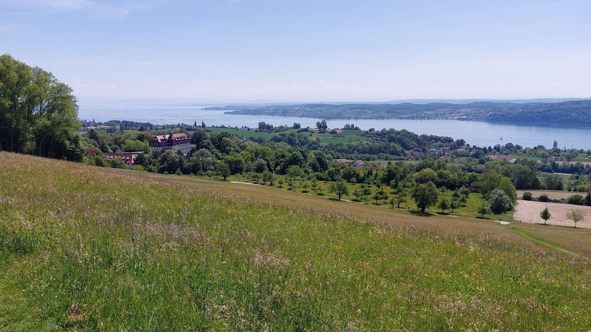 Aussicht Torkelbühl
