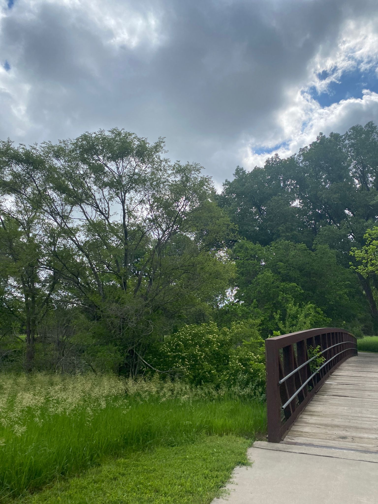 A wooden bridge curves through lush green trees under a cloudy sky. - Wehrspann Lake South Loop