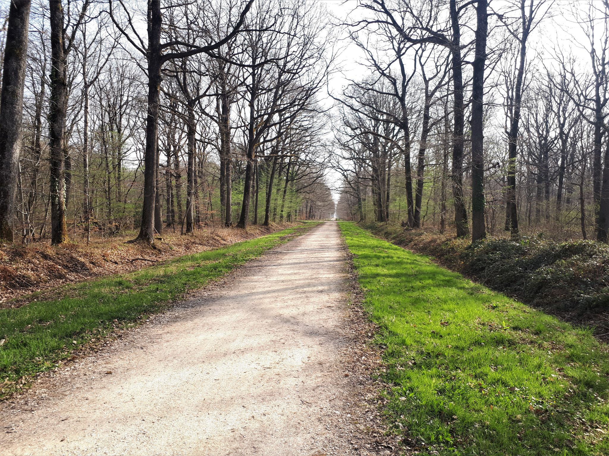 Boulevard vers le carrefour du grillon