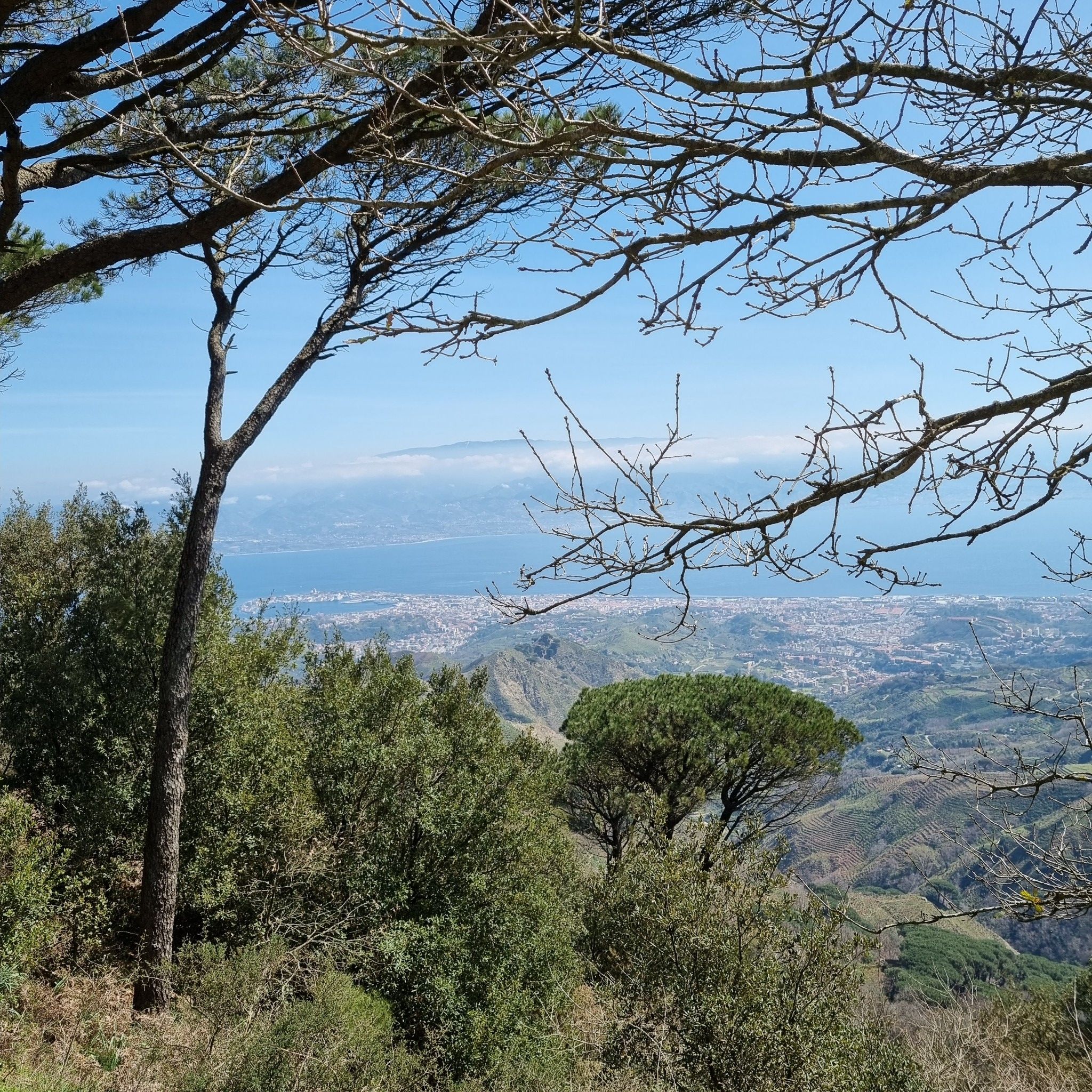 Messina