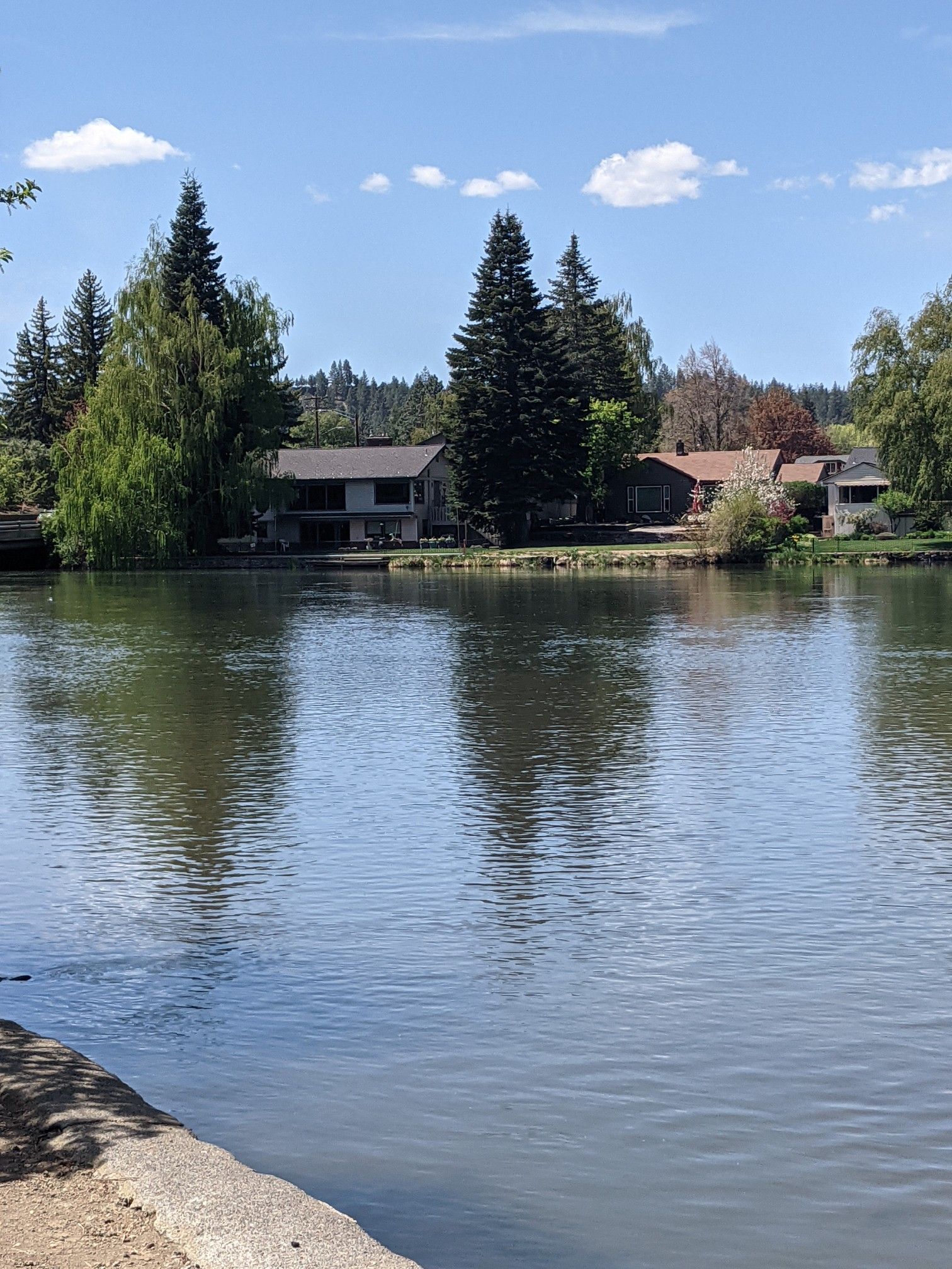 Sunny day view of houses and trees reflecting on calm river water. - Ben's and Phil's Trail Loop
