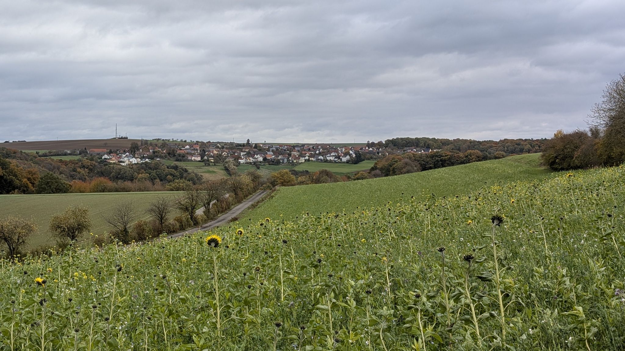 Großsteinhausen